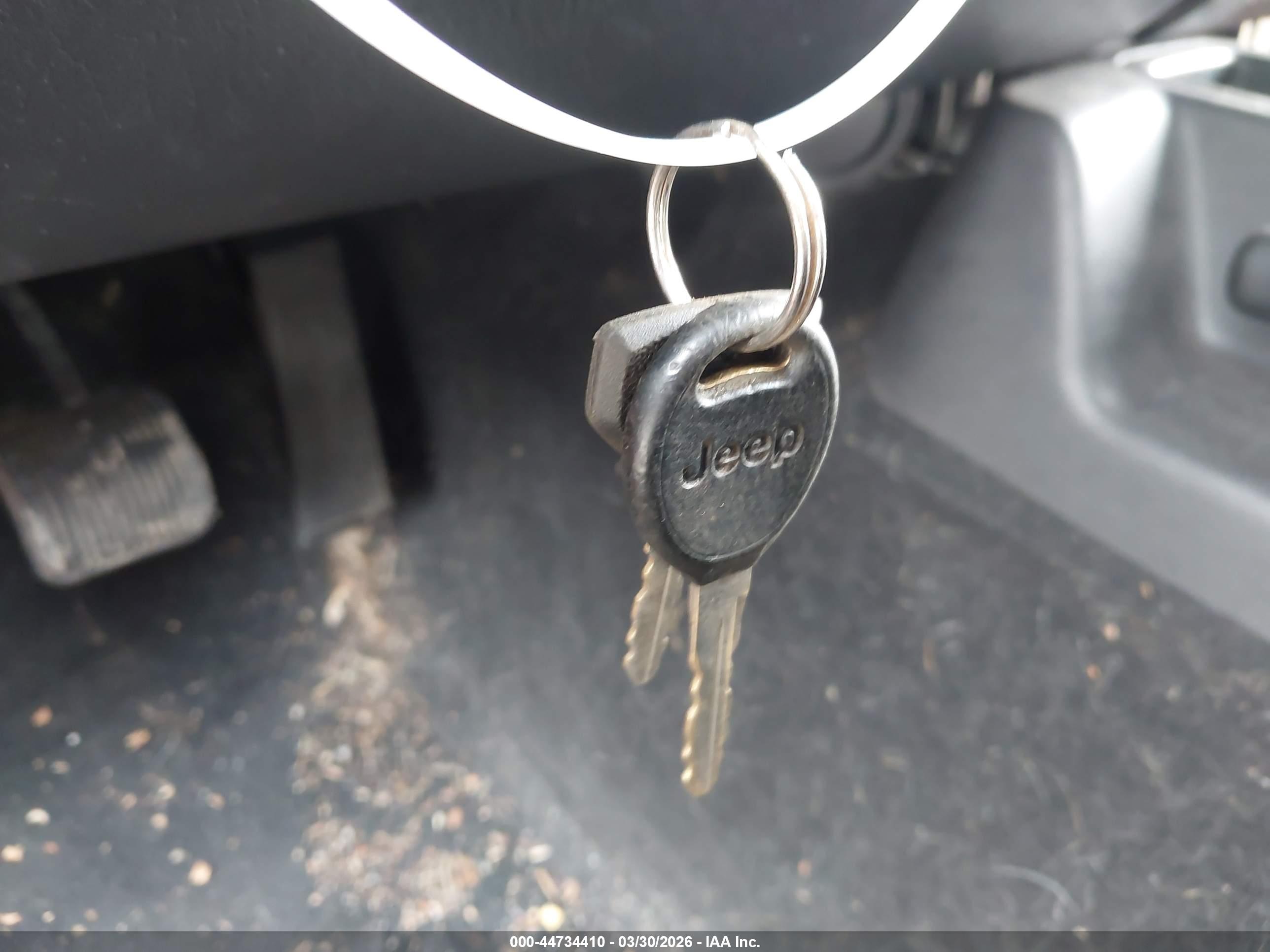 JEEP WRANGLER image 11