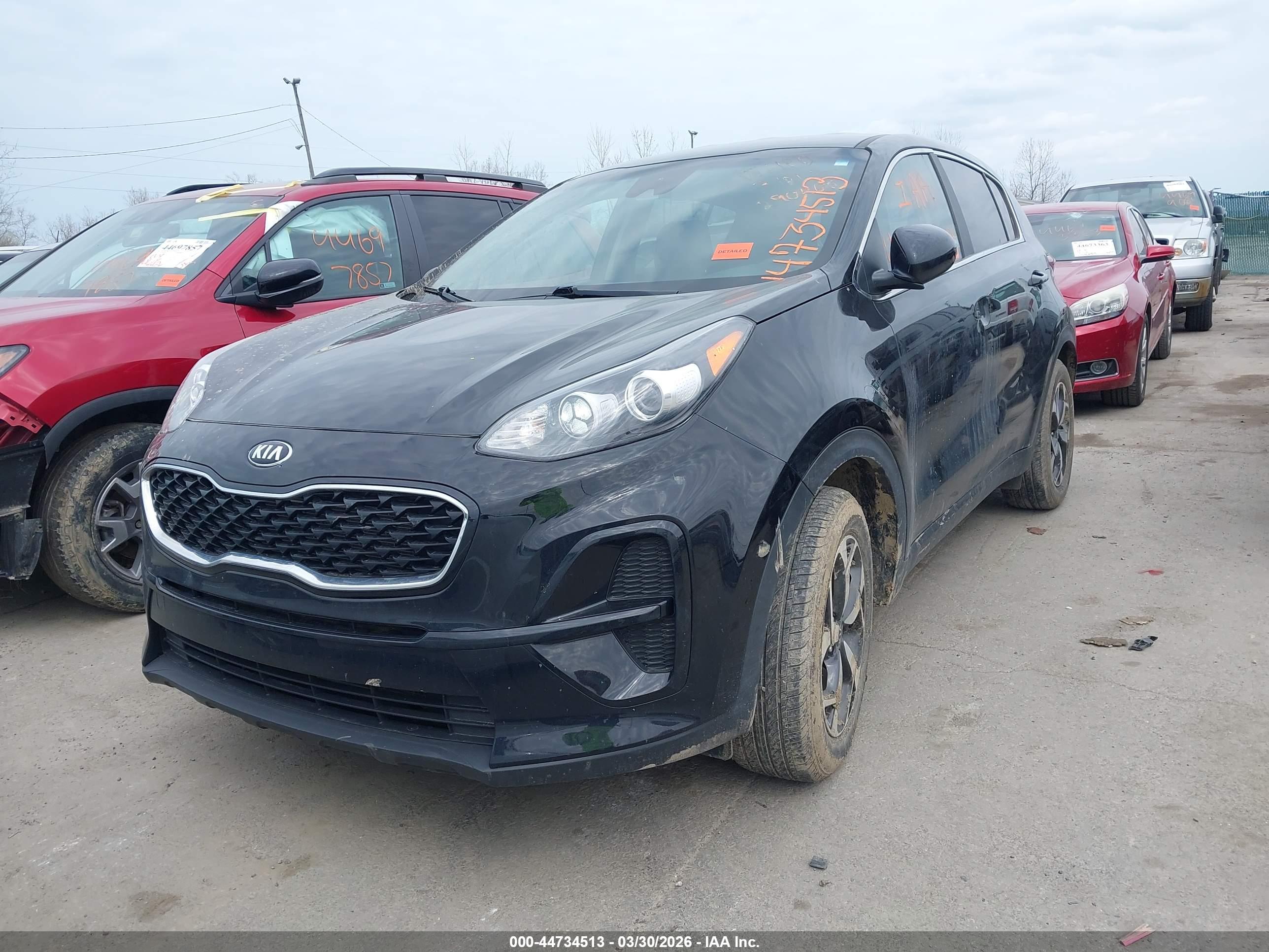 KIA SPORTAGE image 2