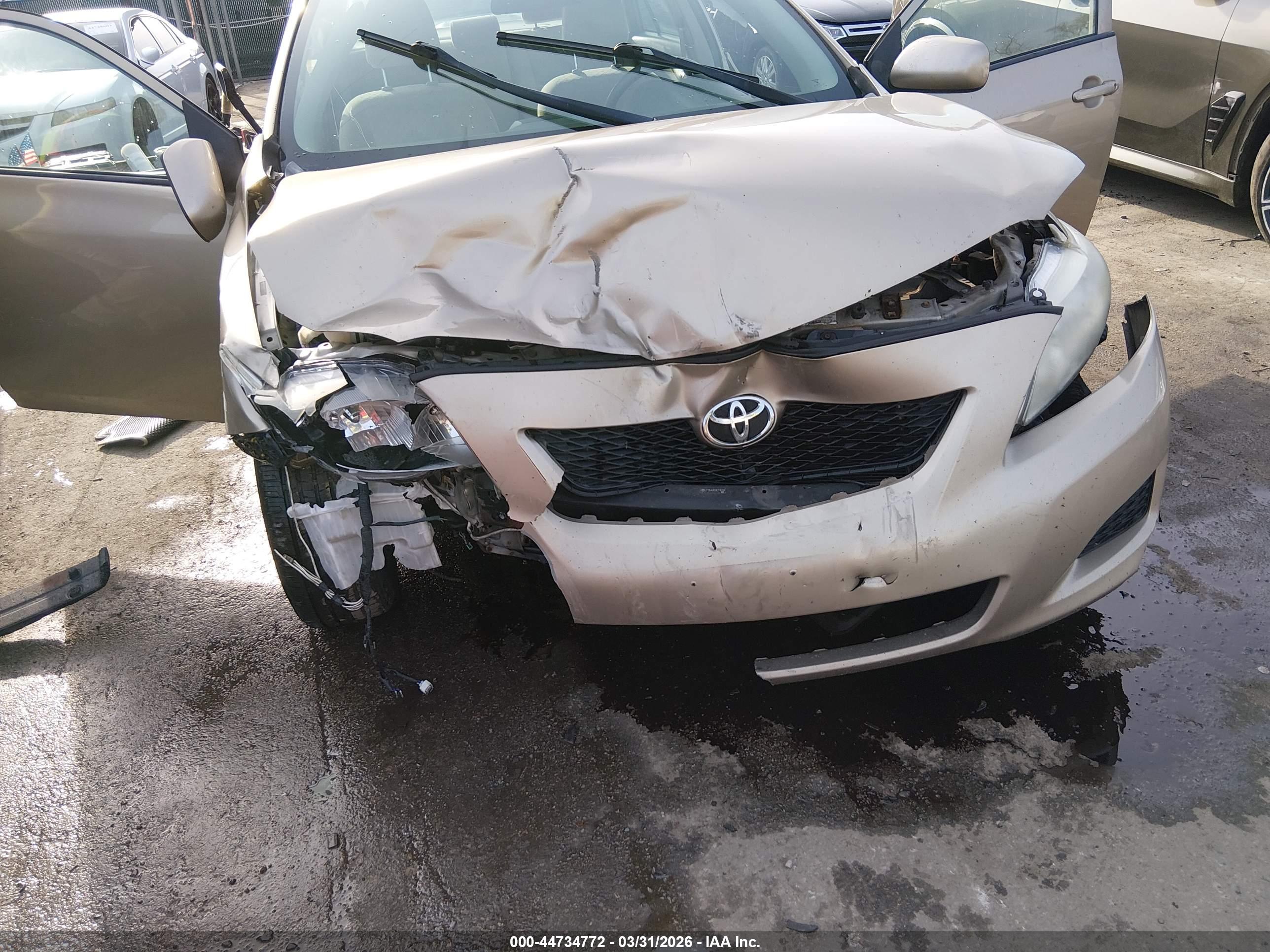 TOYOTA COROLLA image 6