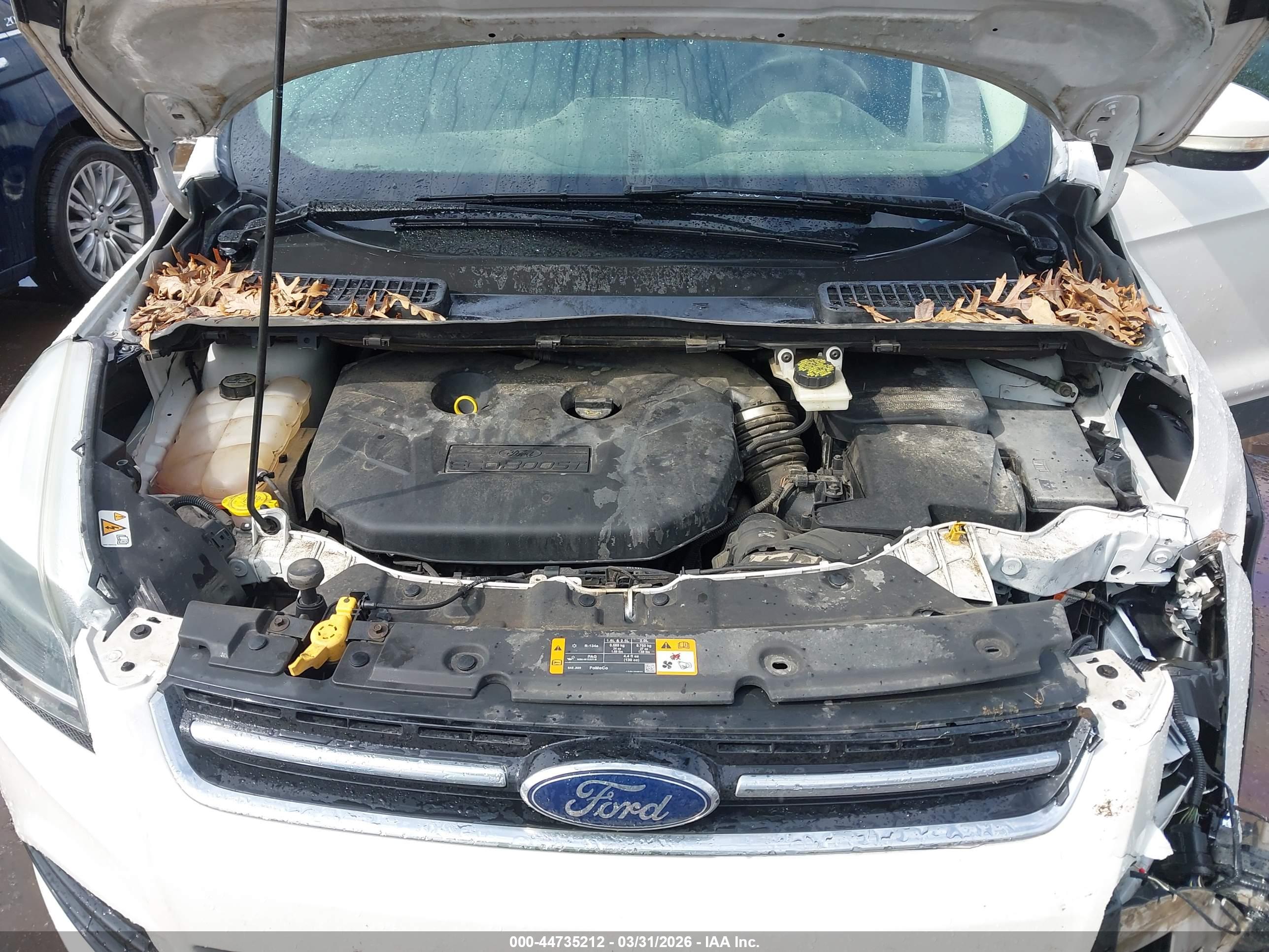 FORD ESCAPE image 10