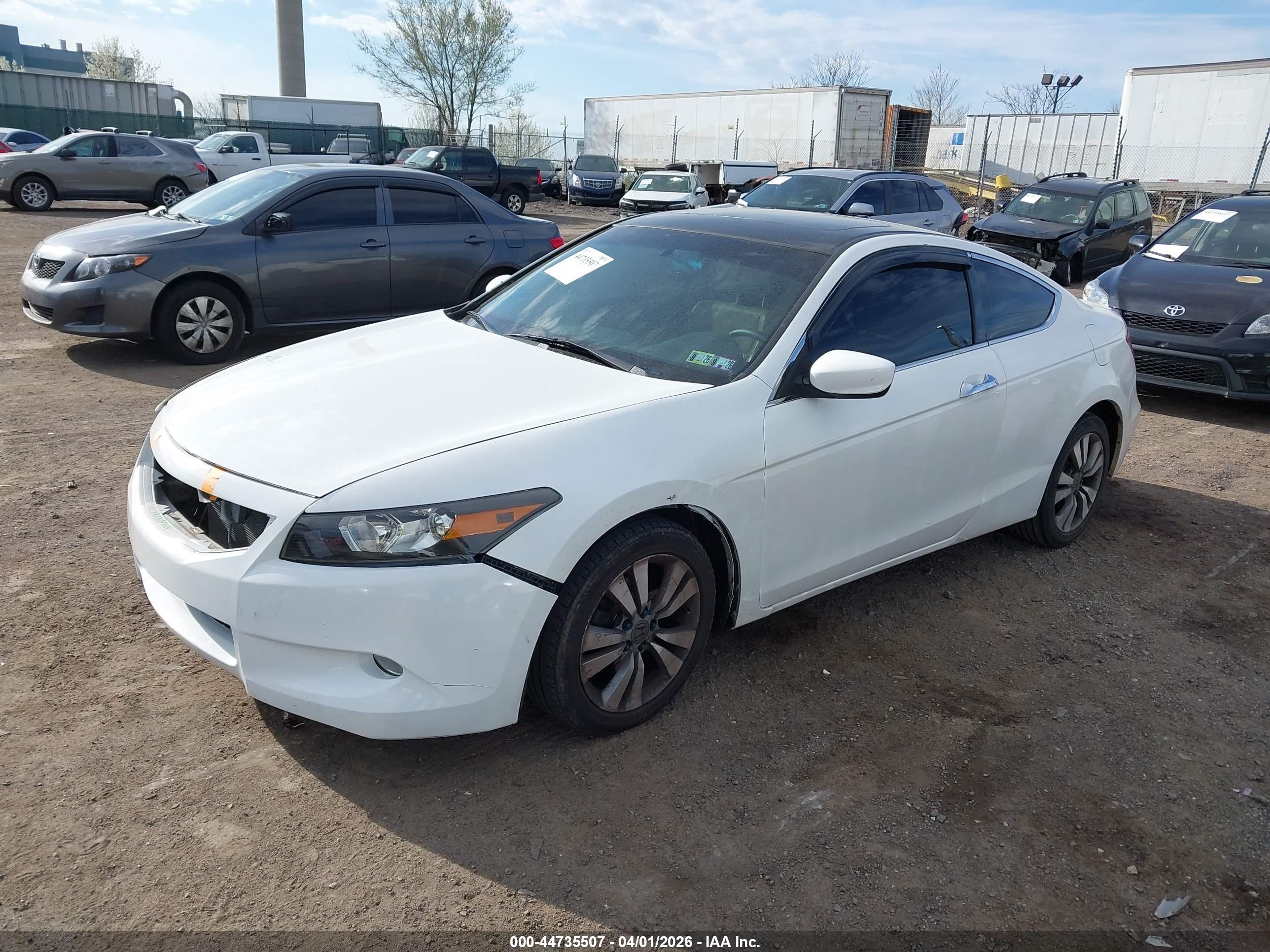 HONDA ACCORD image 2