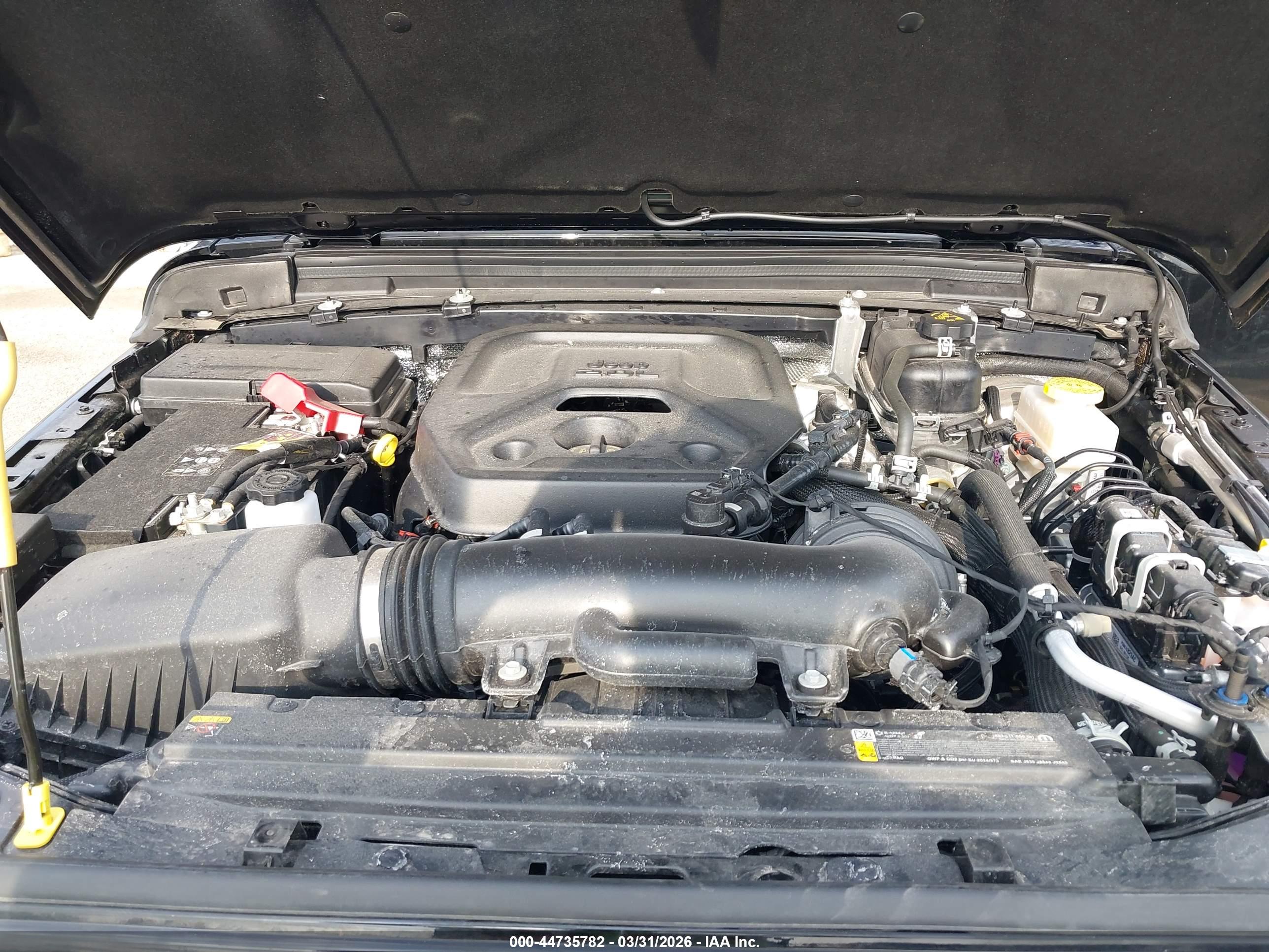 JEEP WRANGLER image 10