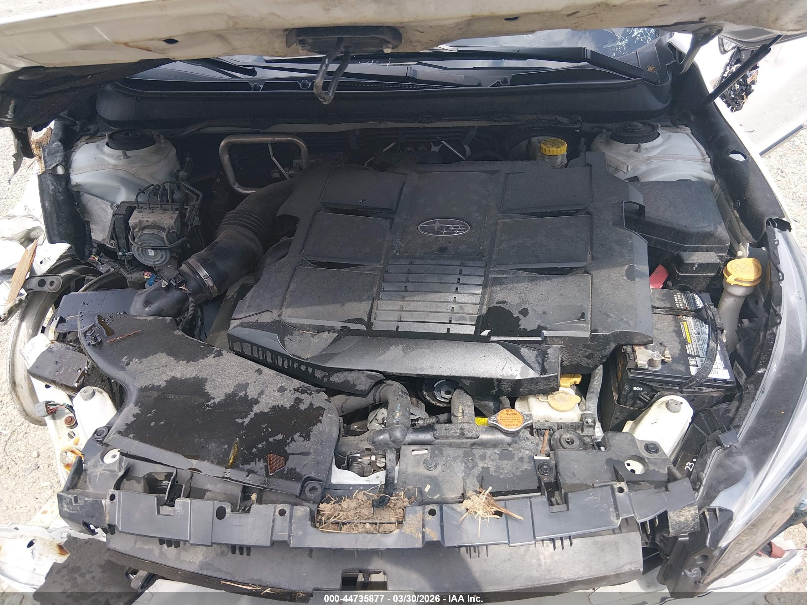 SUBARU OUTBACK image 10