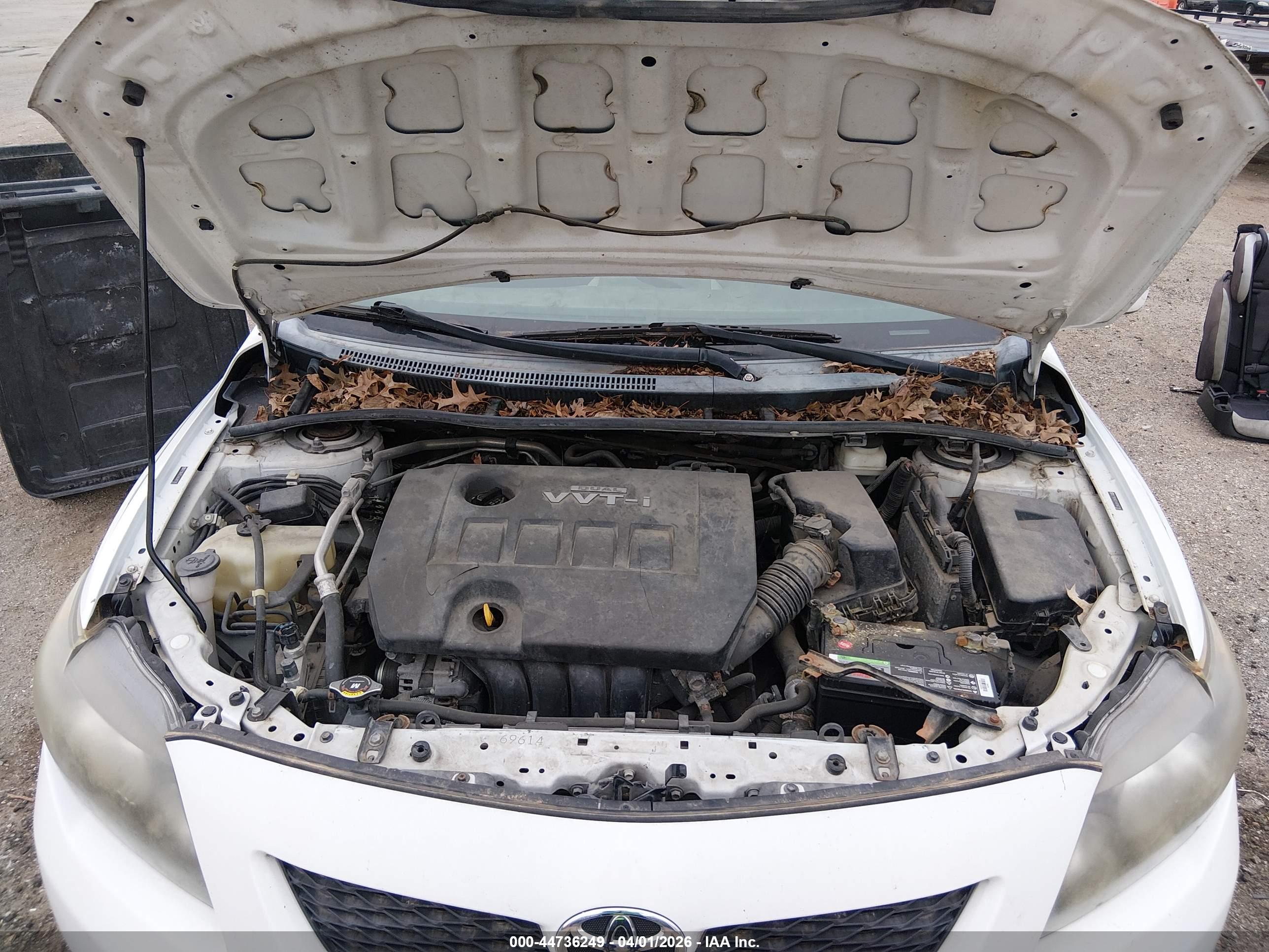TOYOTA COROLLA image 10