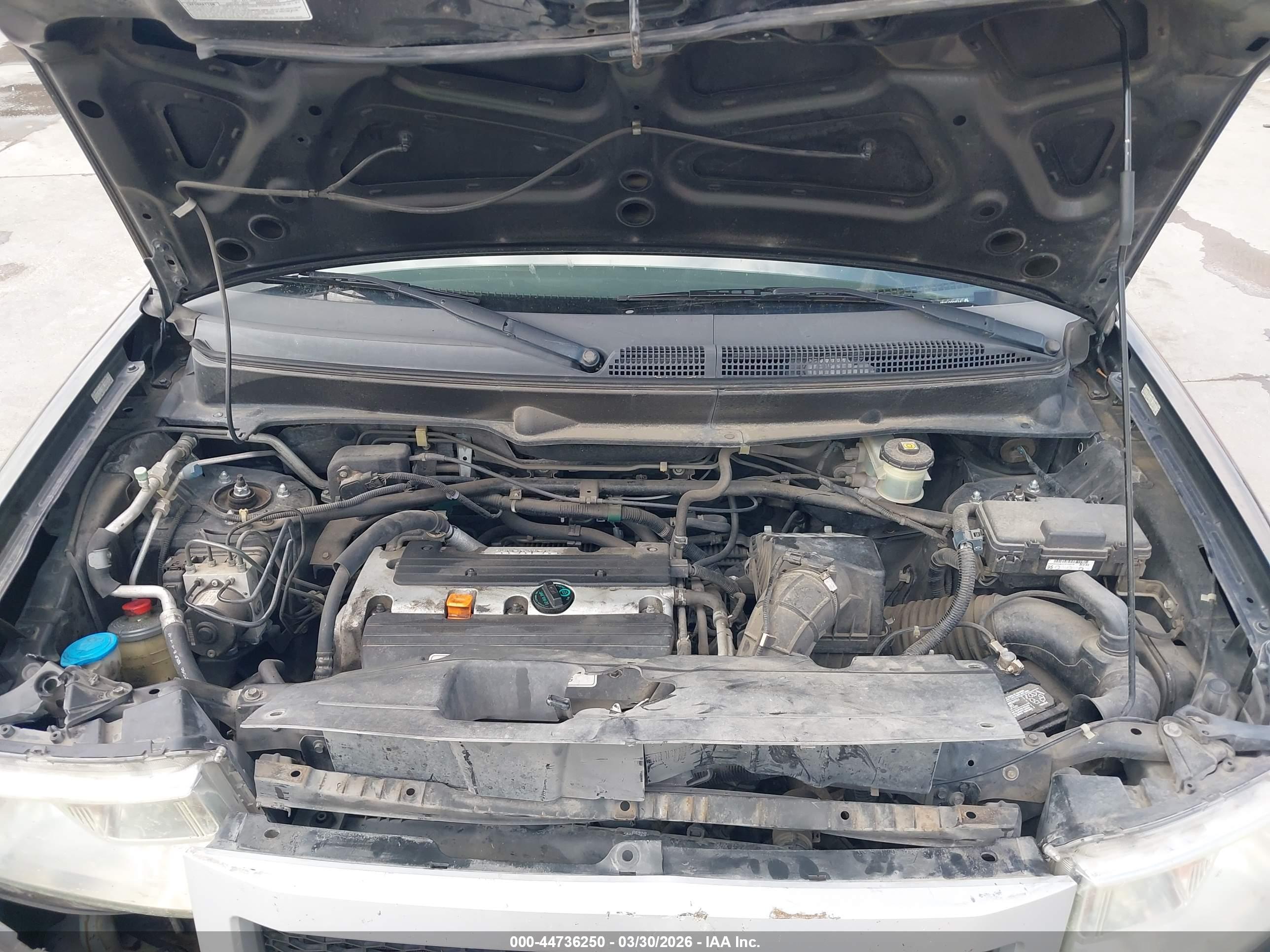 HONDA ELEMENT image 10