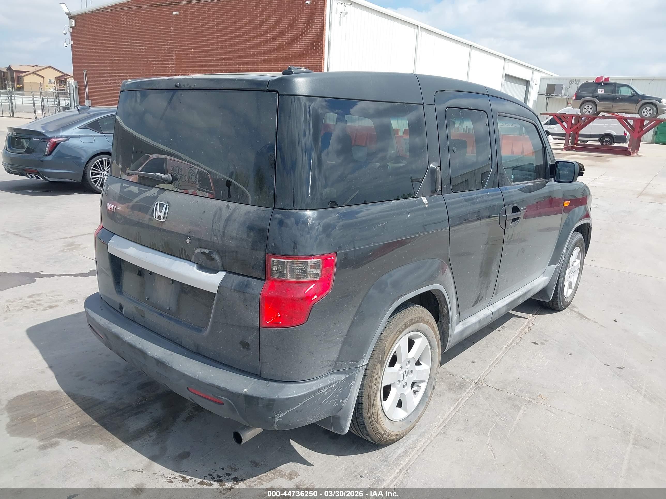 HONDA ELEMENT image 4