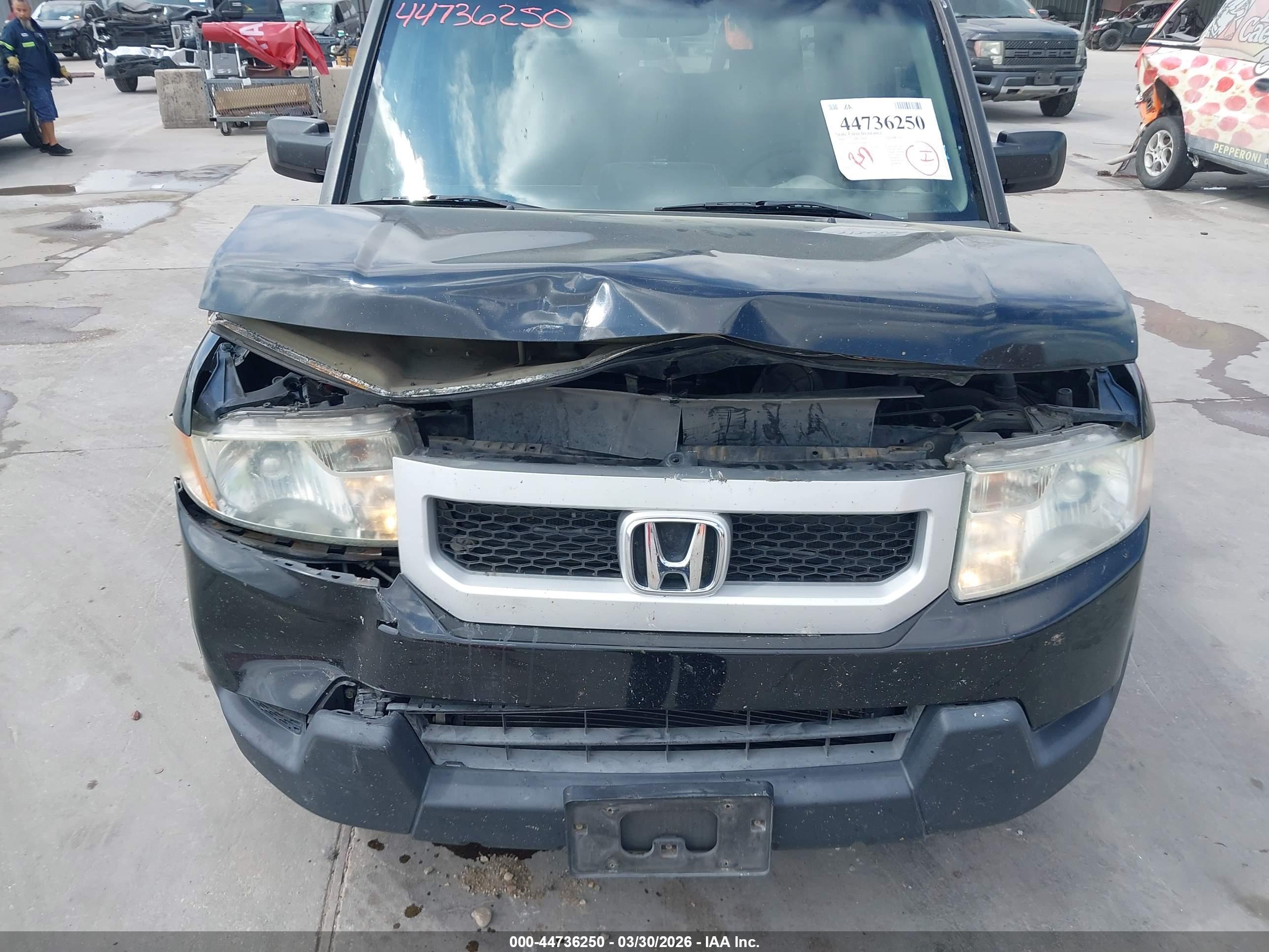 HONDA ELEMENT image 6