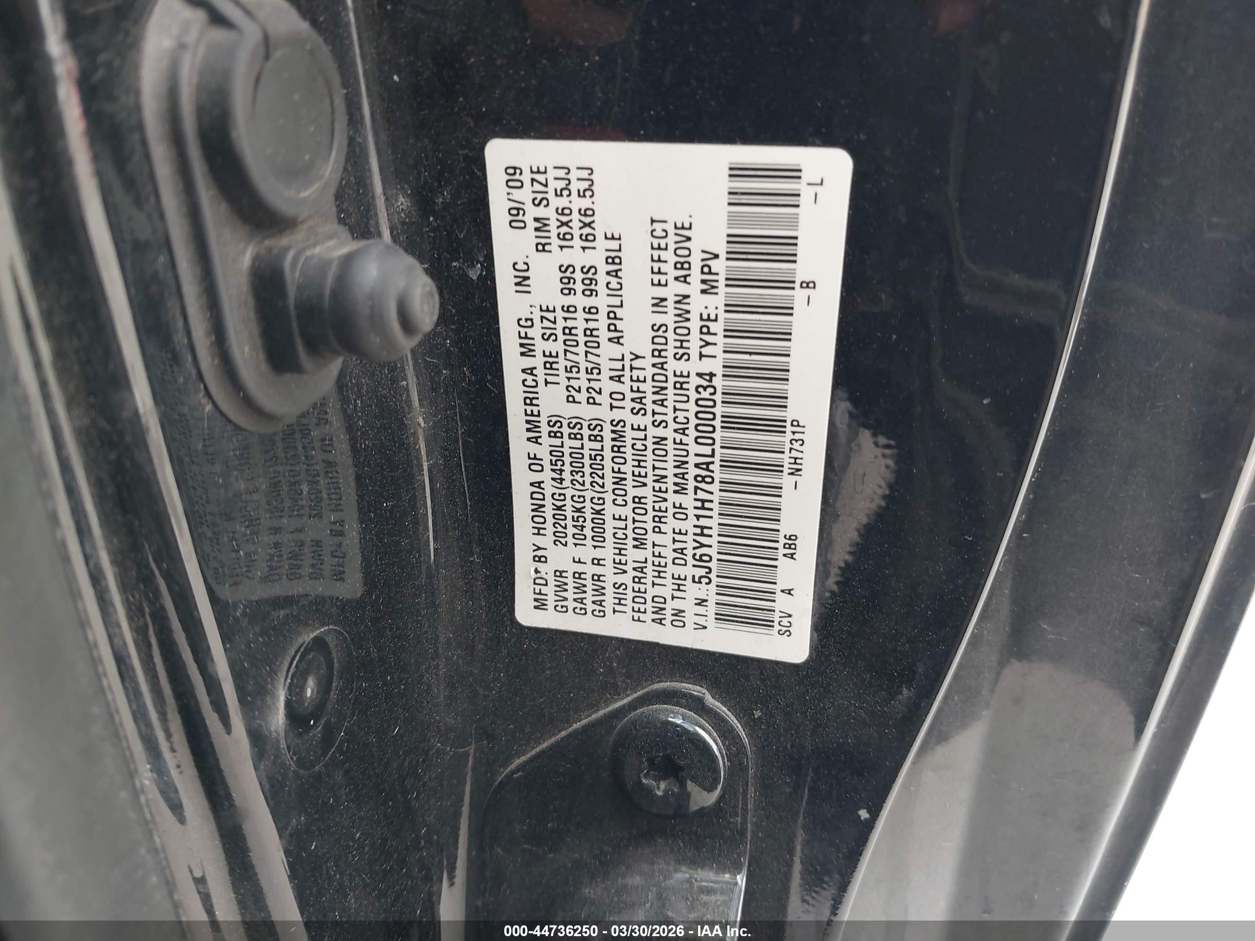 HONDA ELEMENT image 9