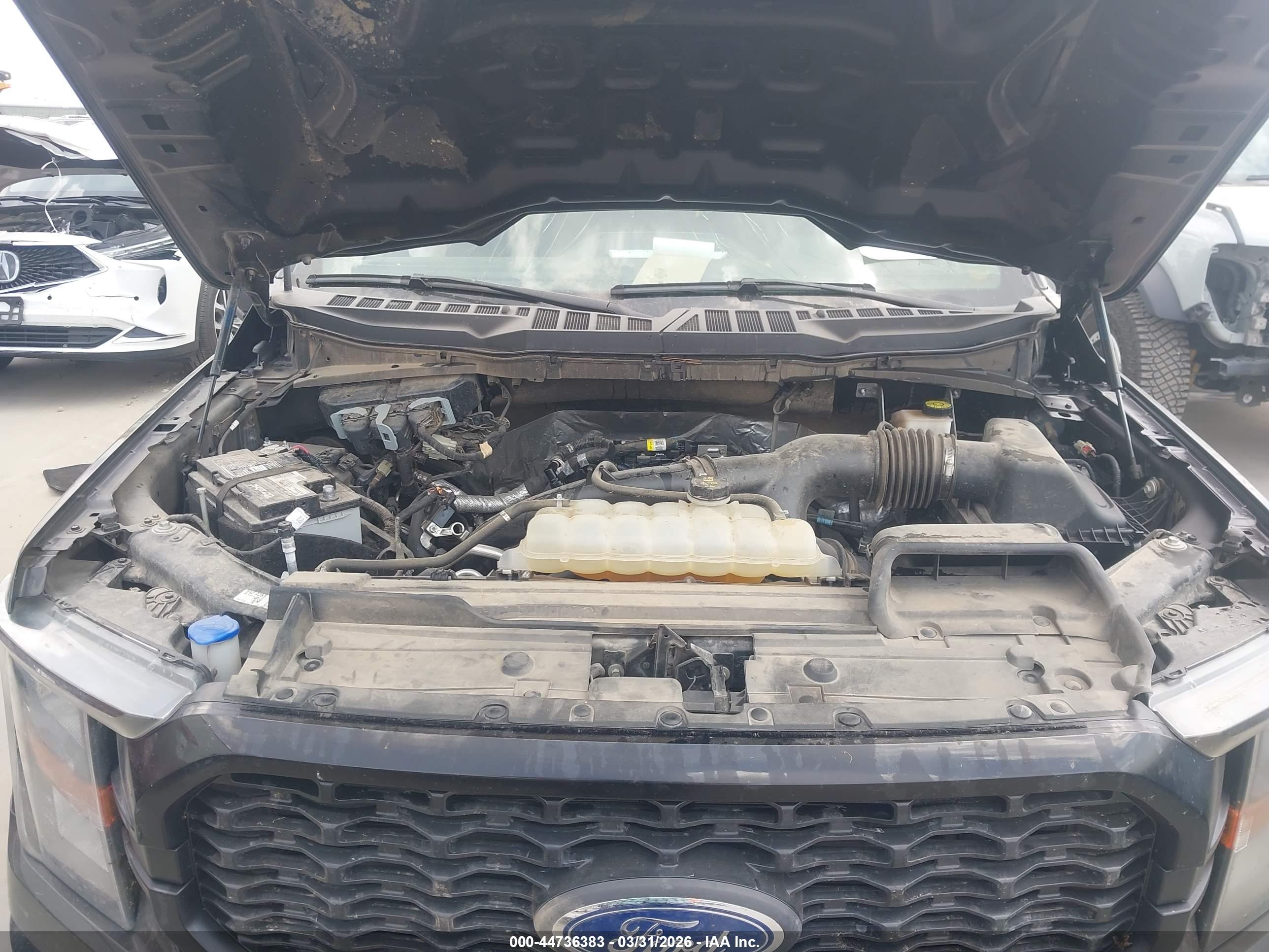 FORD F-150 image 10