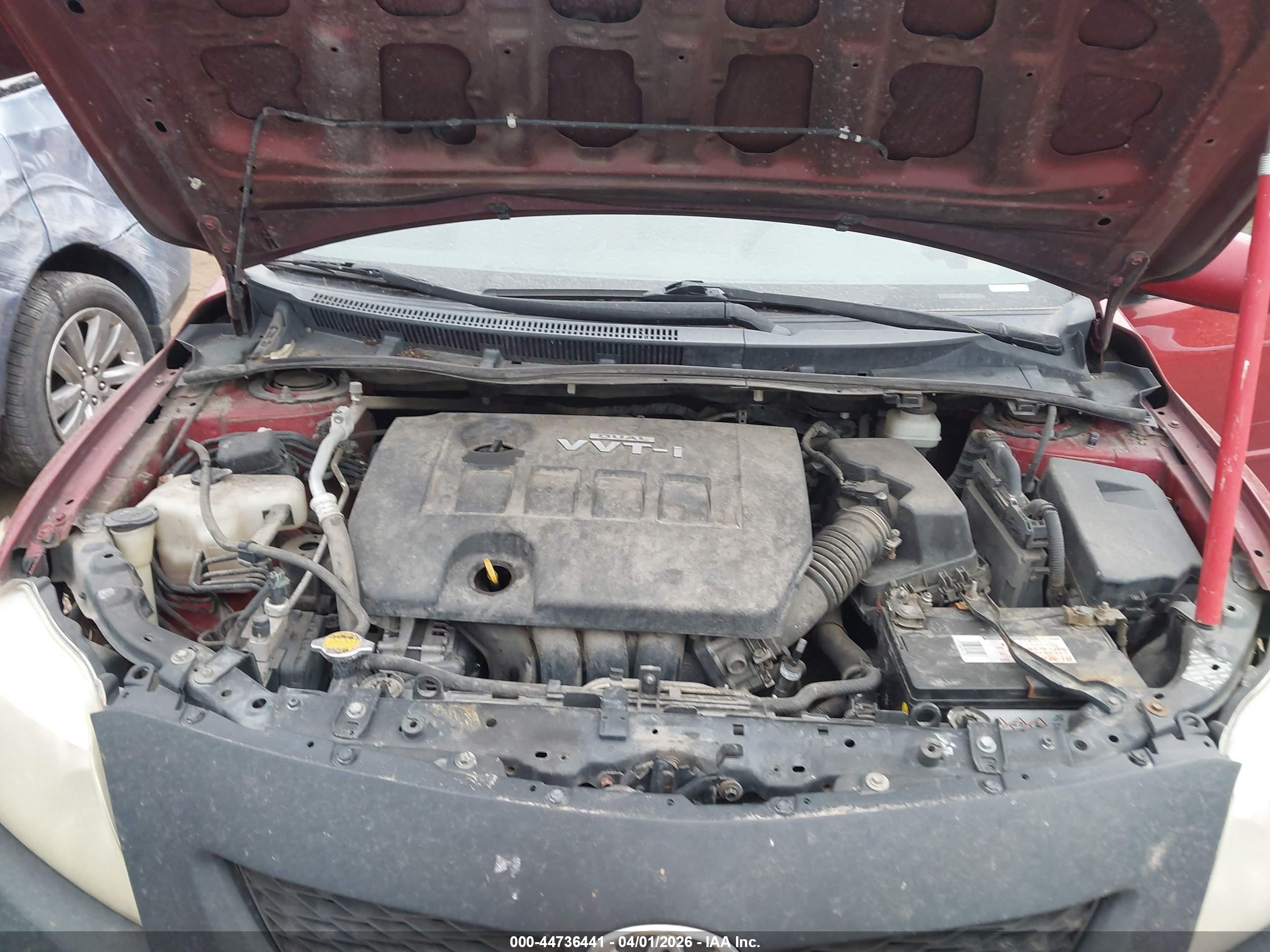 TOYOTA COROLLA image 10