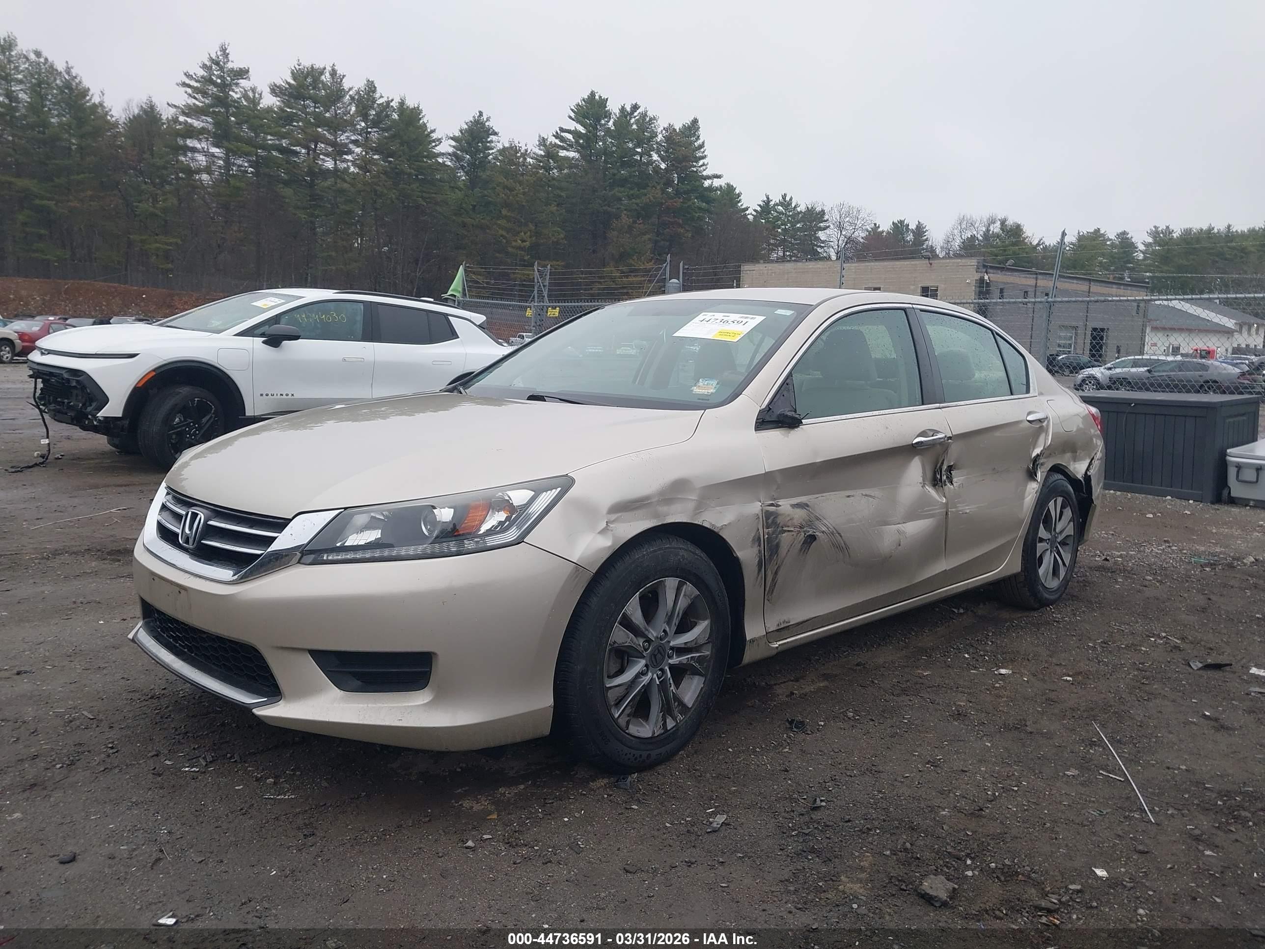 HONDA ACCORD image 2