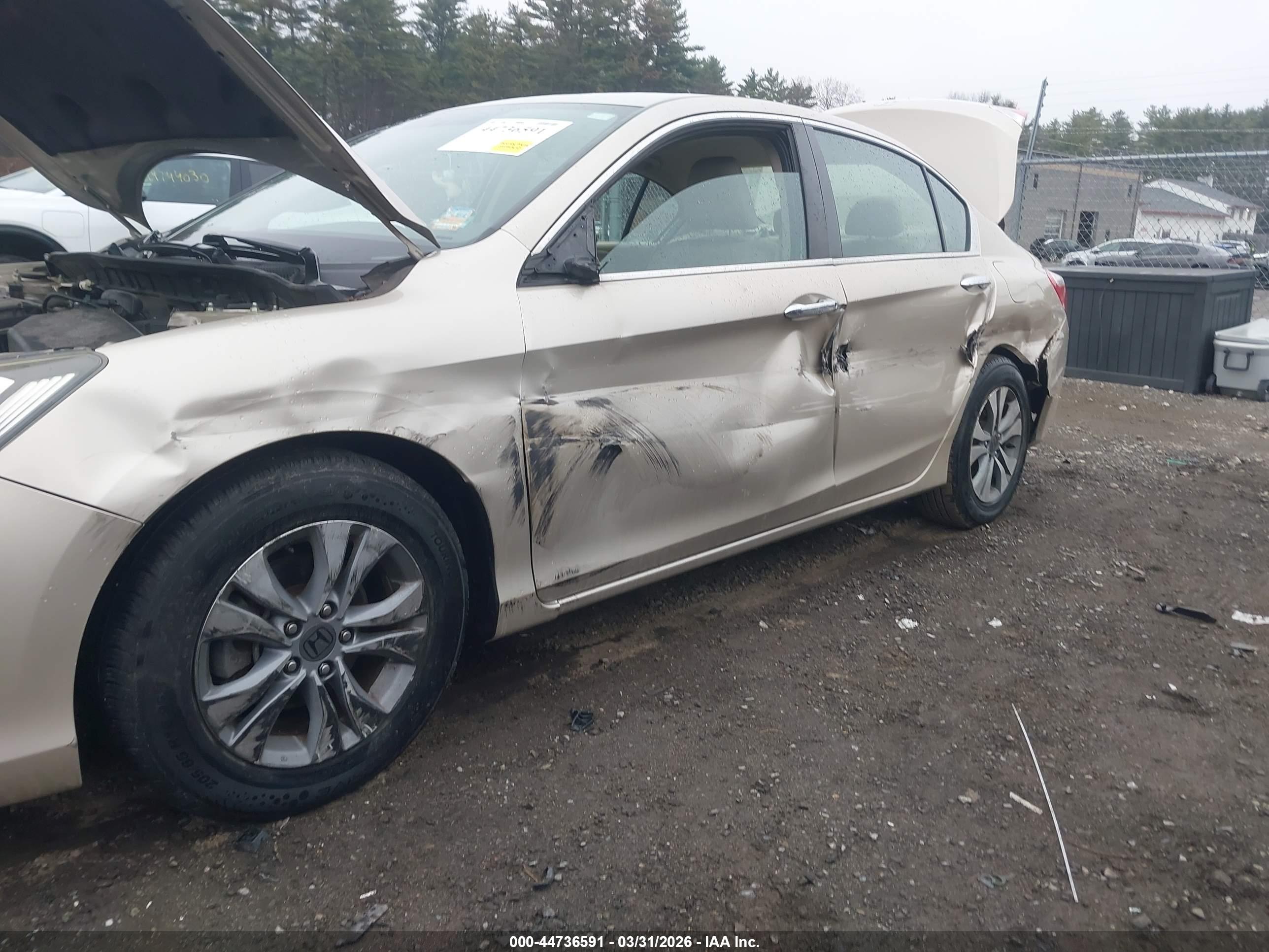 HONDA ACCORD image 6