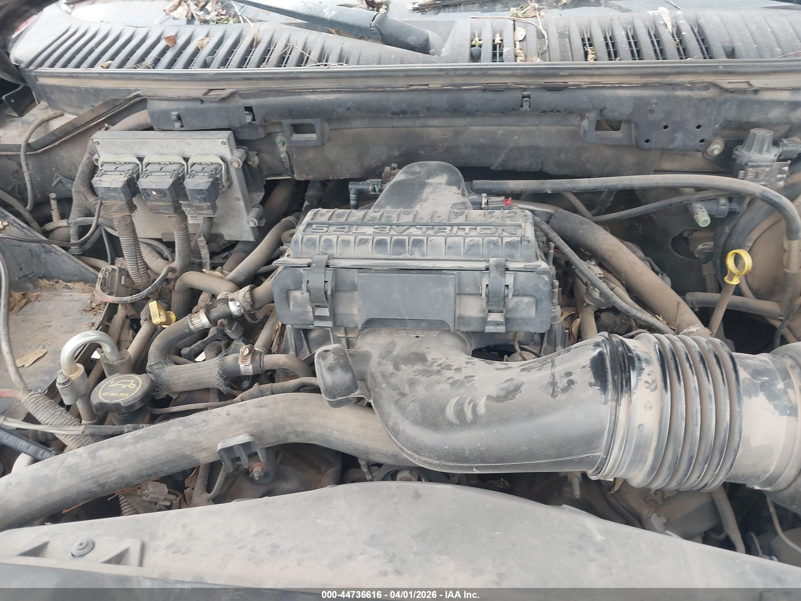 FORD EXPEDITION image 10