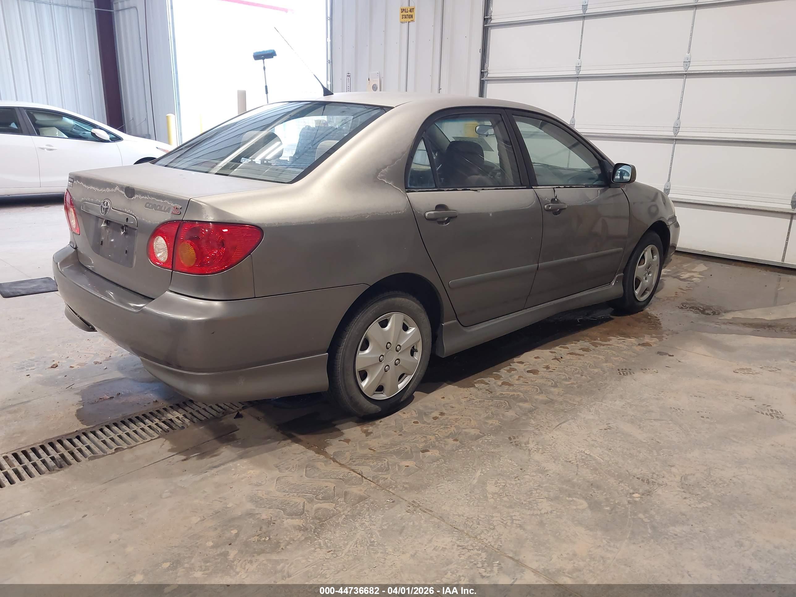 TOYOTA COROLLA image 4