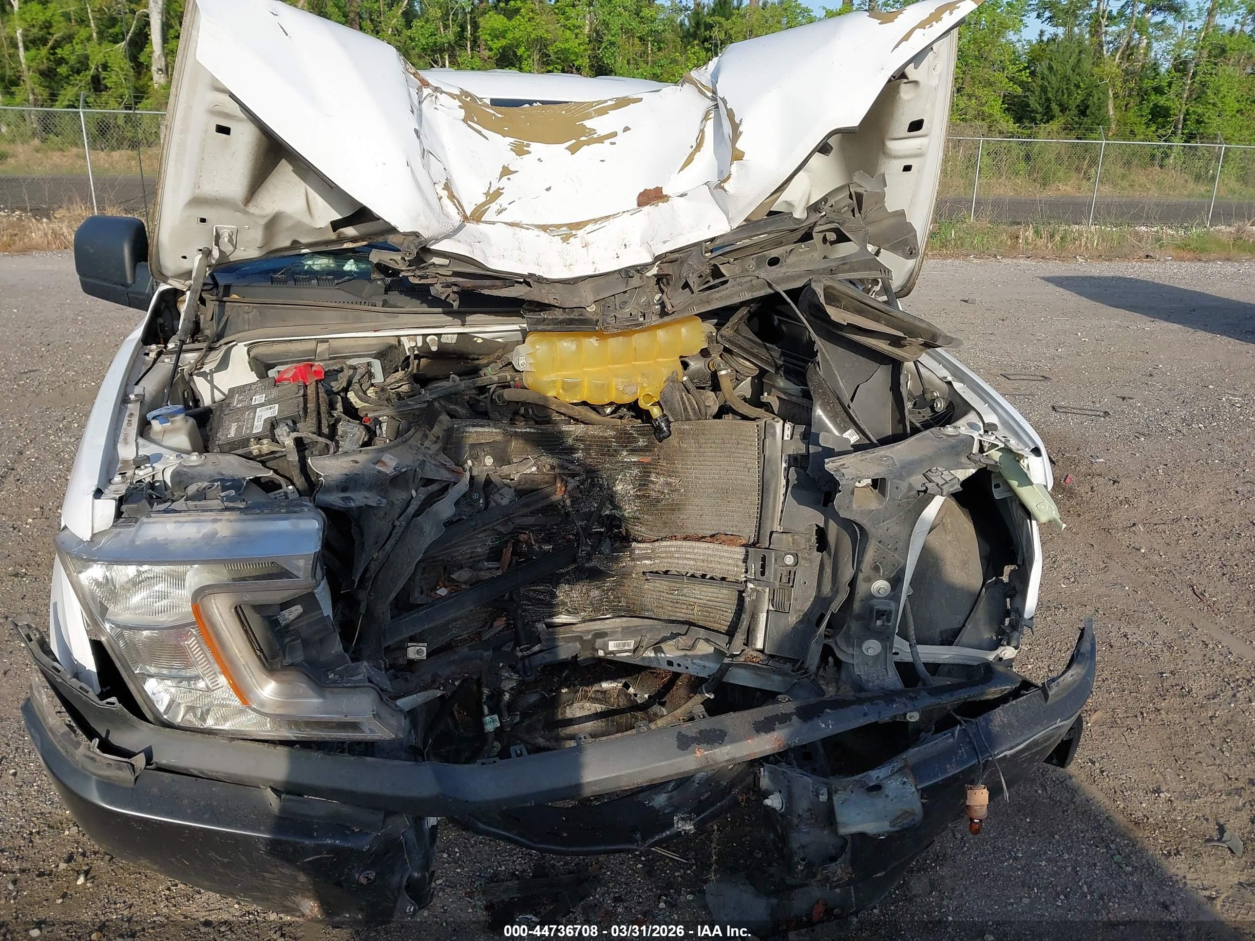 FORD F-150 image 6