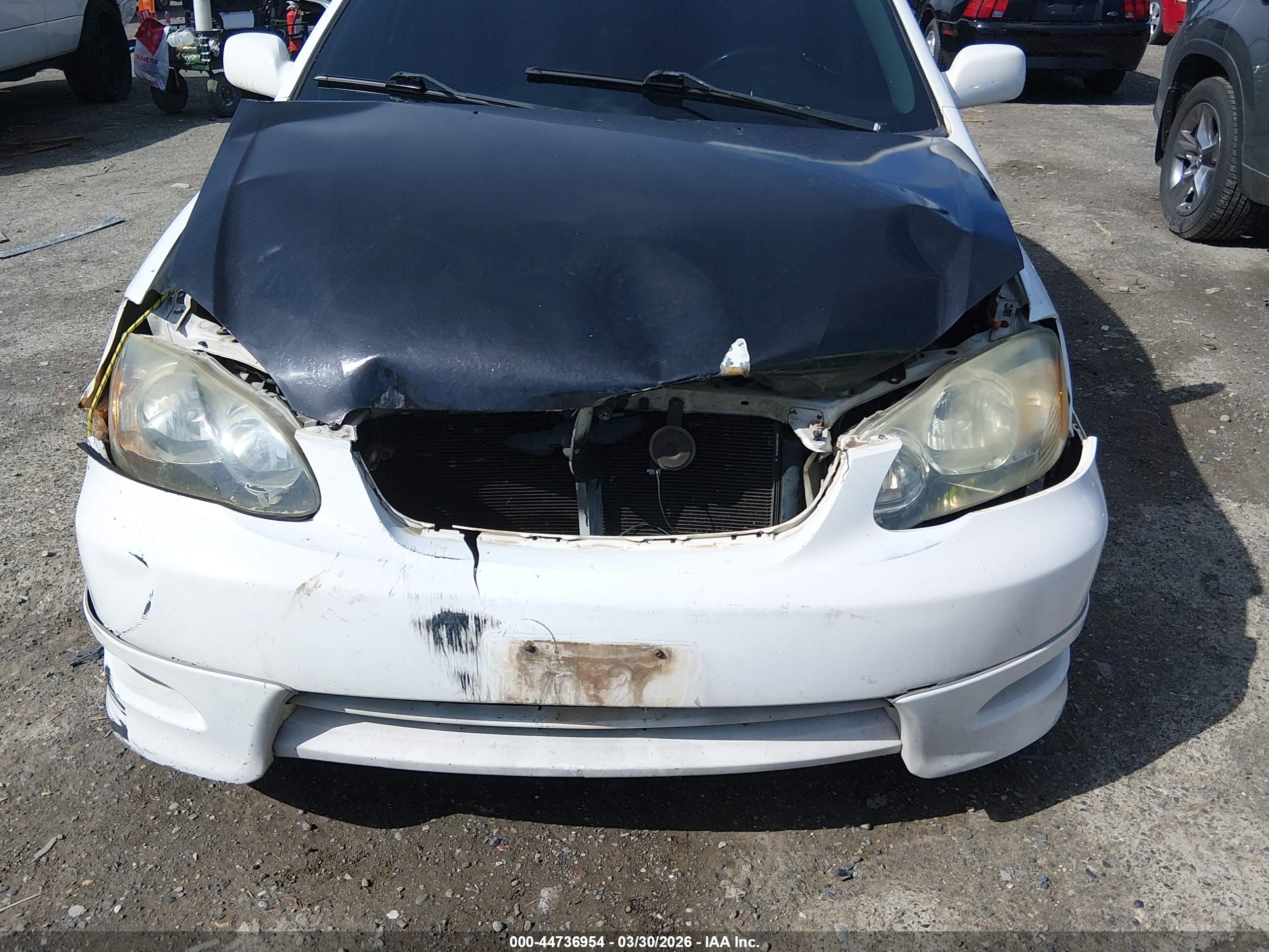 TOYOTA COROLLA image 6