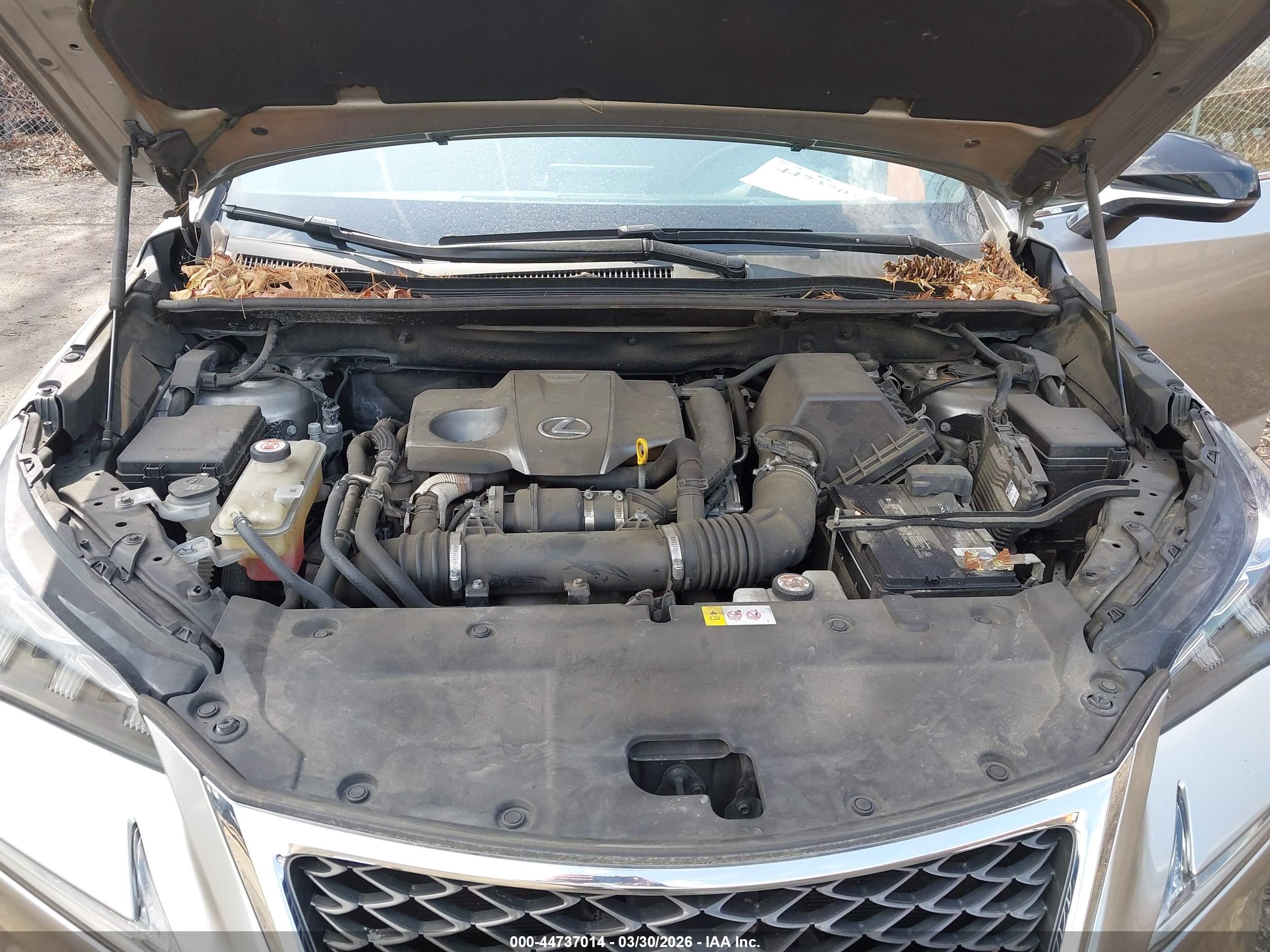 LEXUS NX image 10
