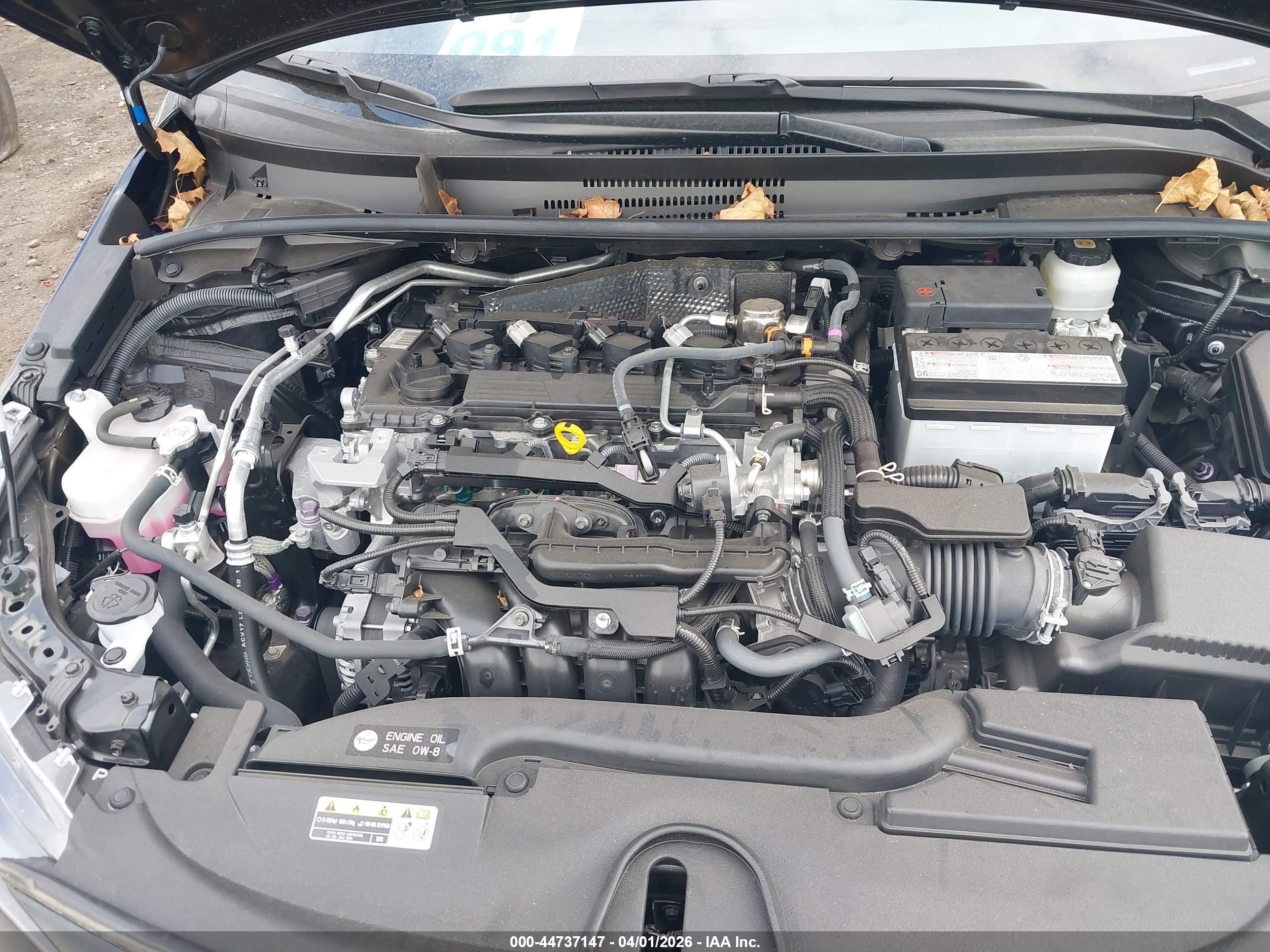 TOYOTA COROLLA image 10