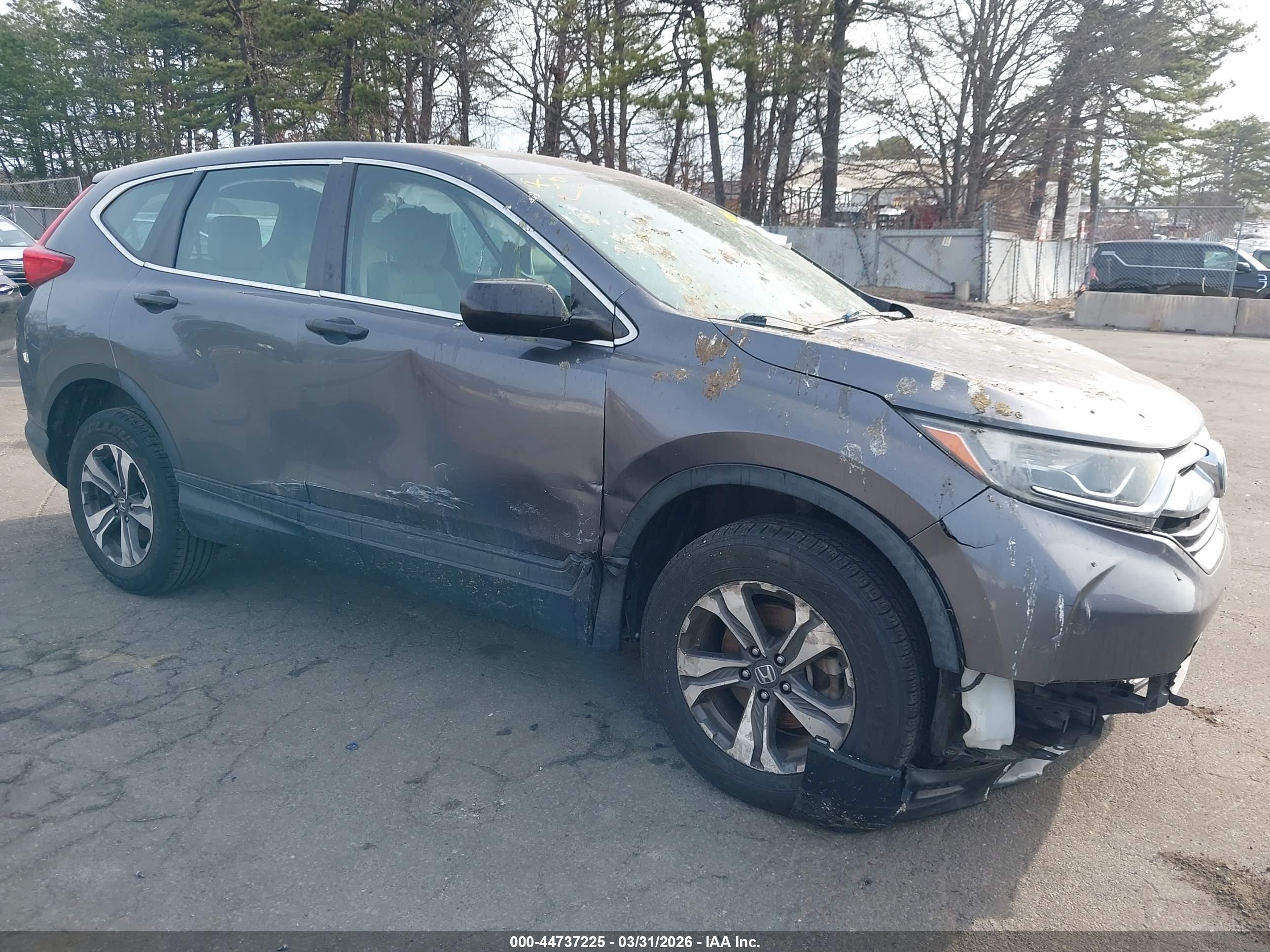 HONDA CR-V image 6