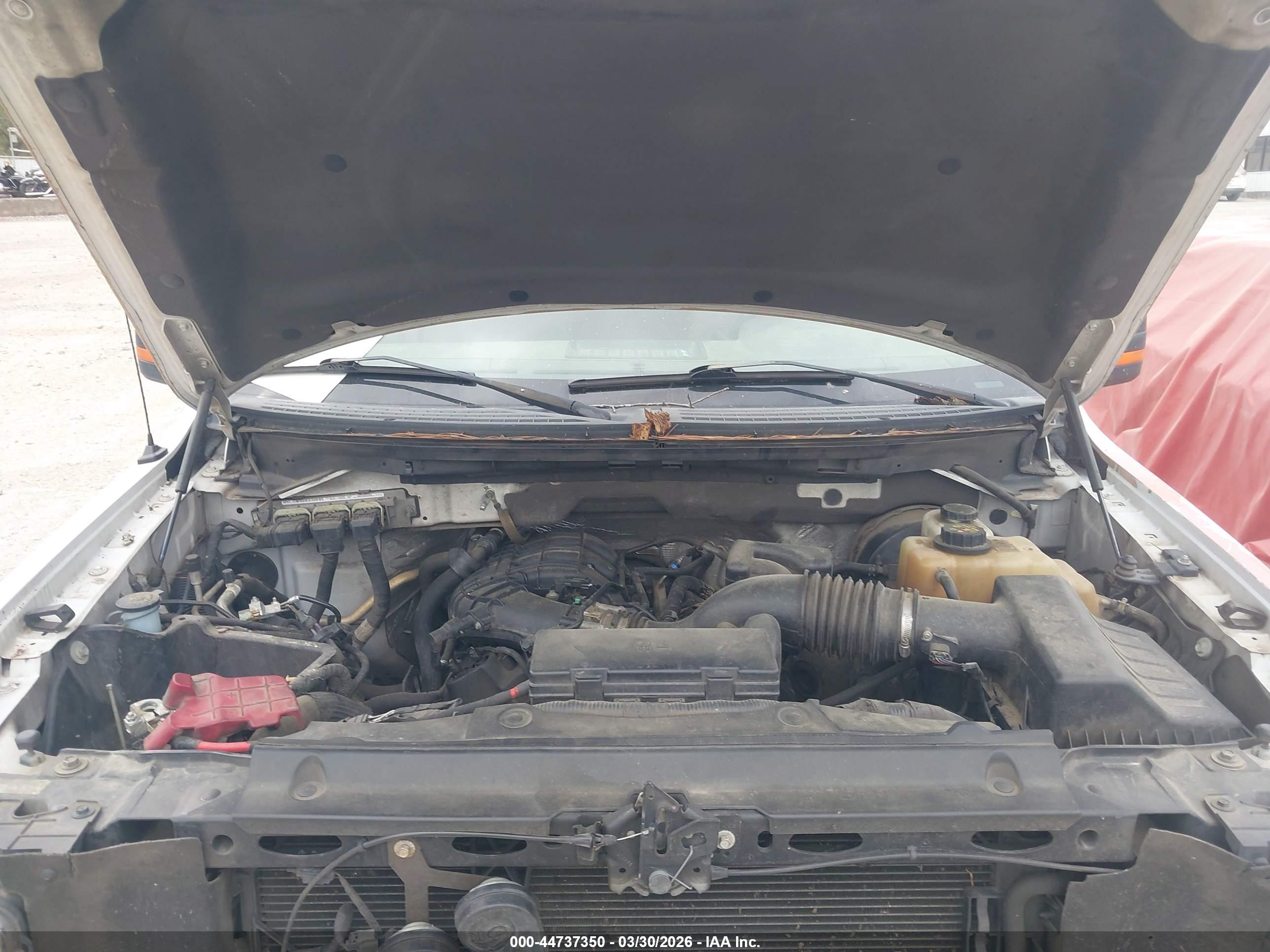 FORD F-150 image 10