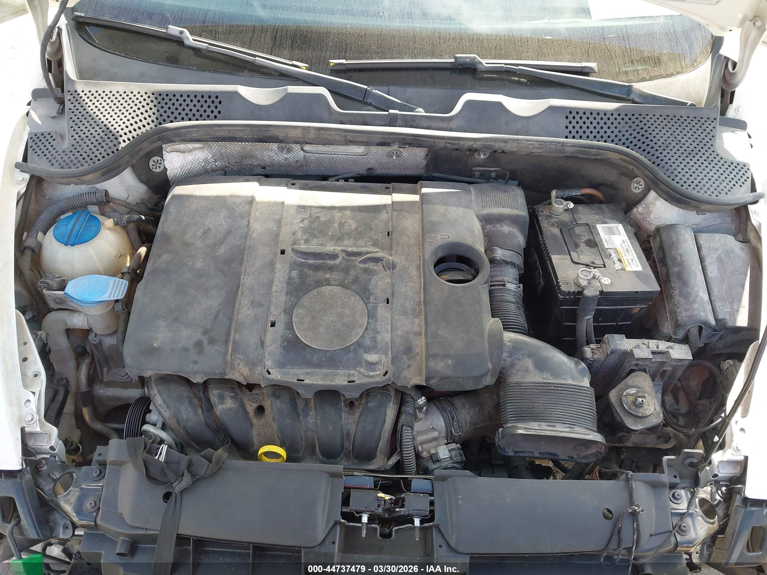 VOLKSWAGEN BEETLE image 10