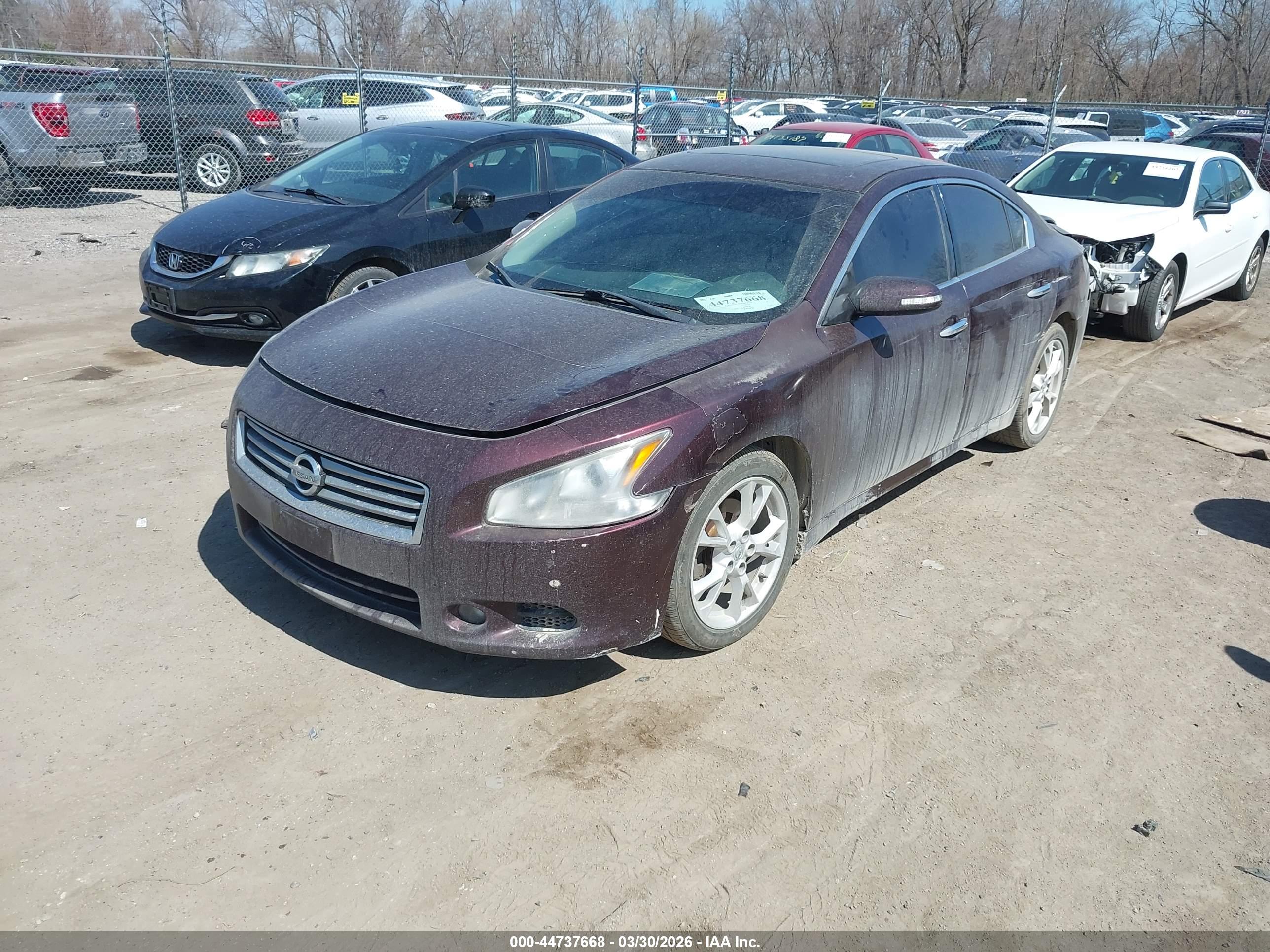 NISSAN MAXIMA image 2