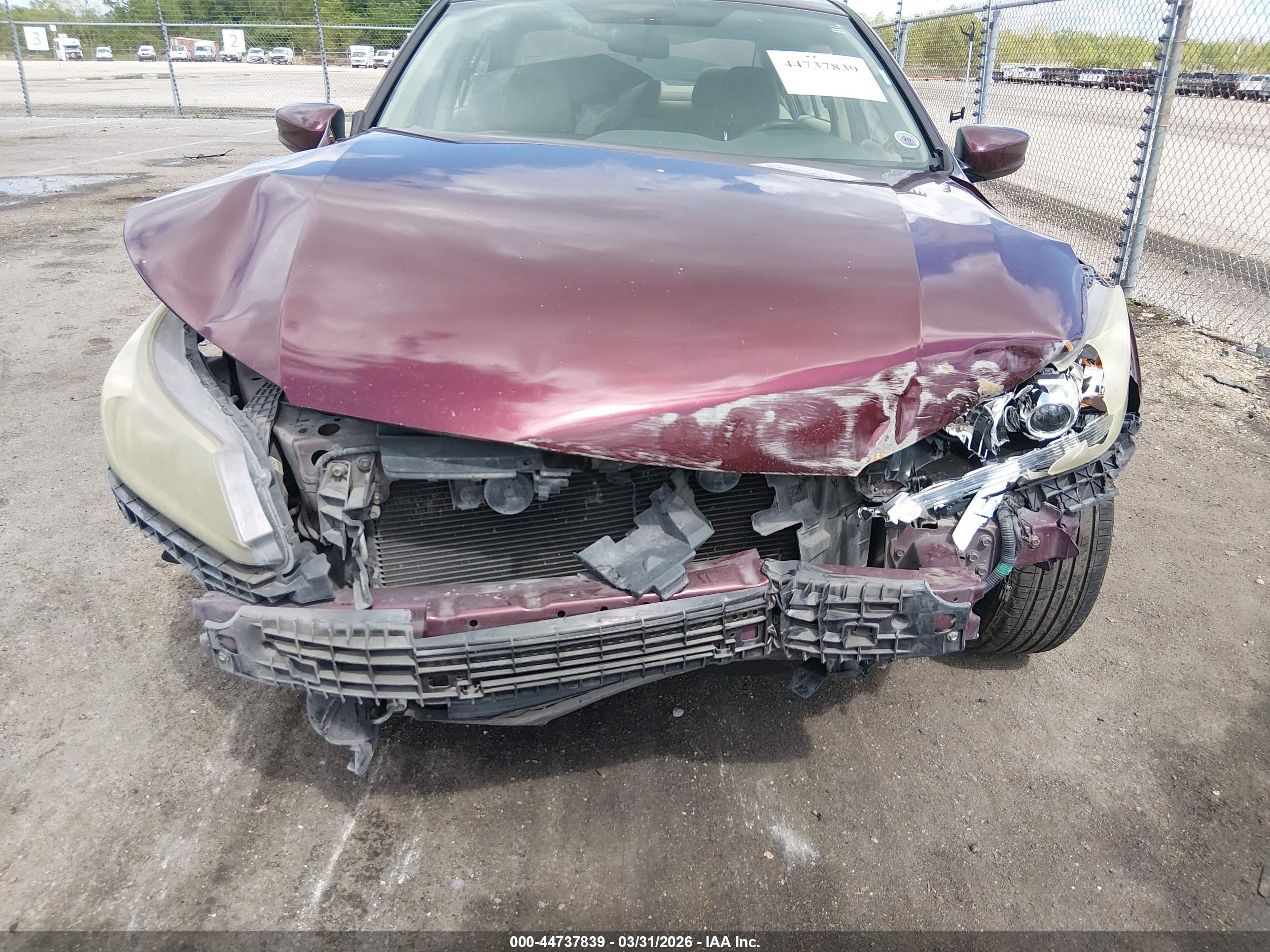 HONDA ACCORD image 6