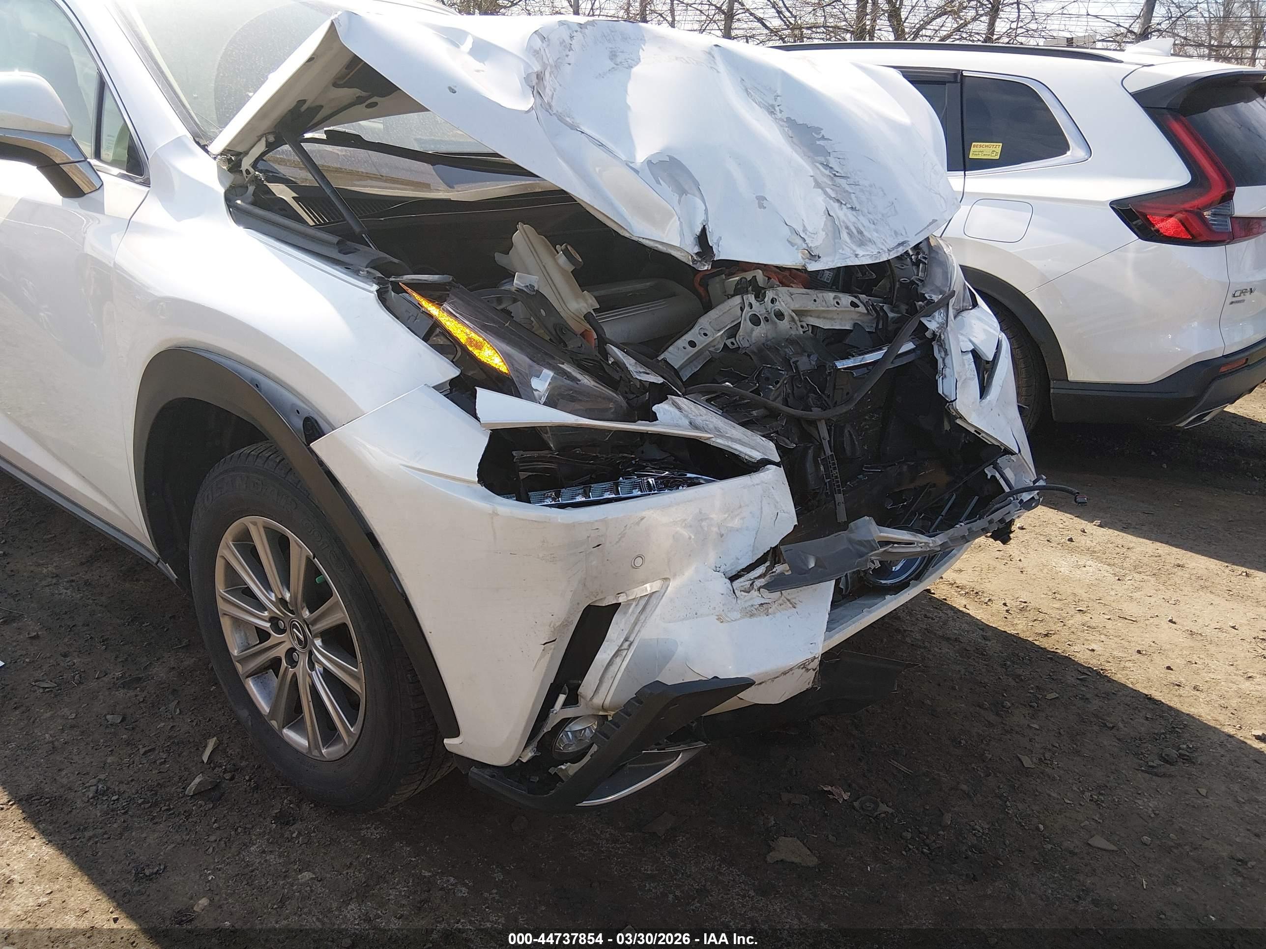 LEXUS NX image 6