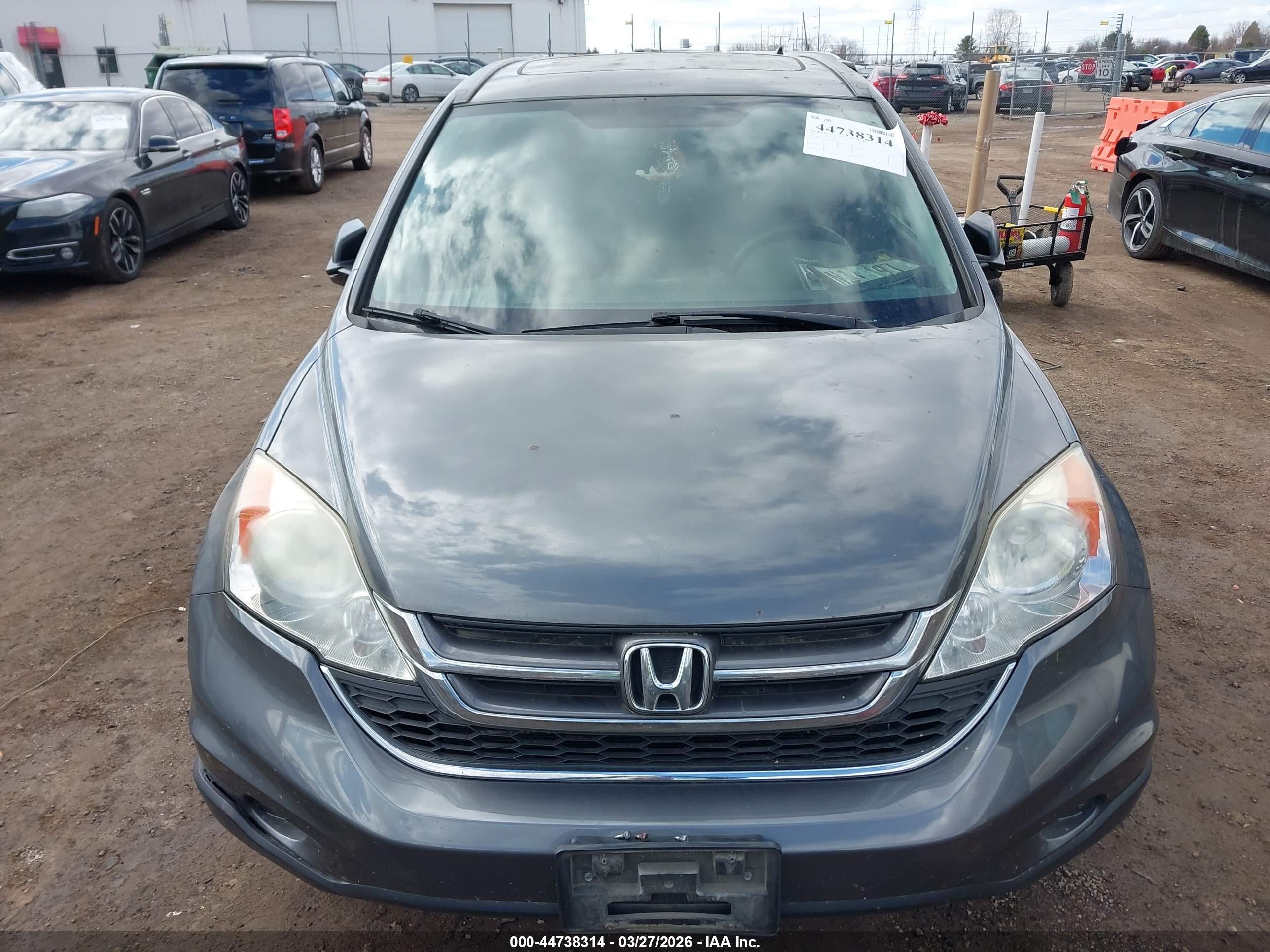 HONDA CR-V image 6