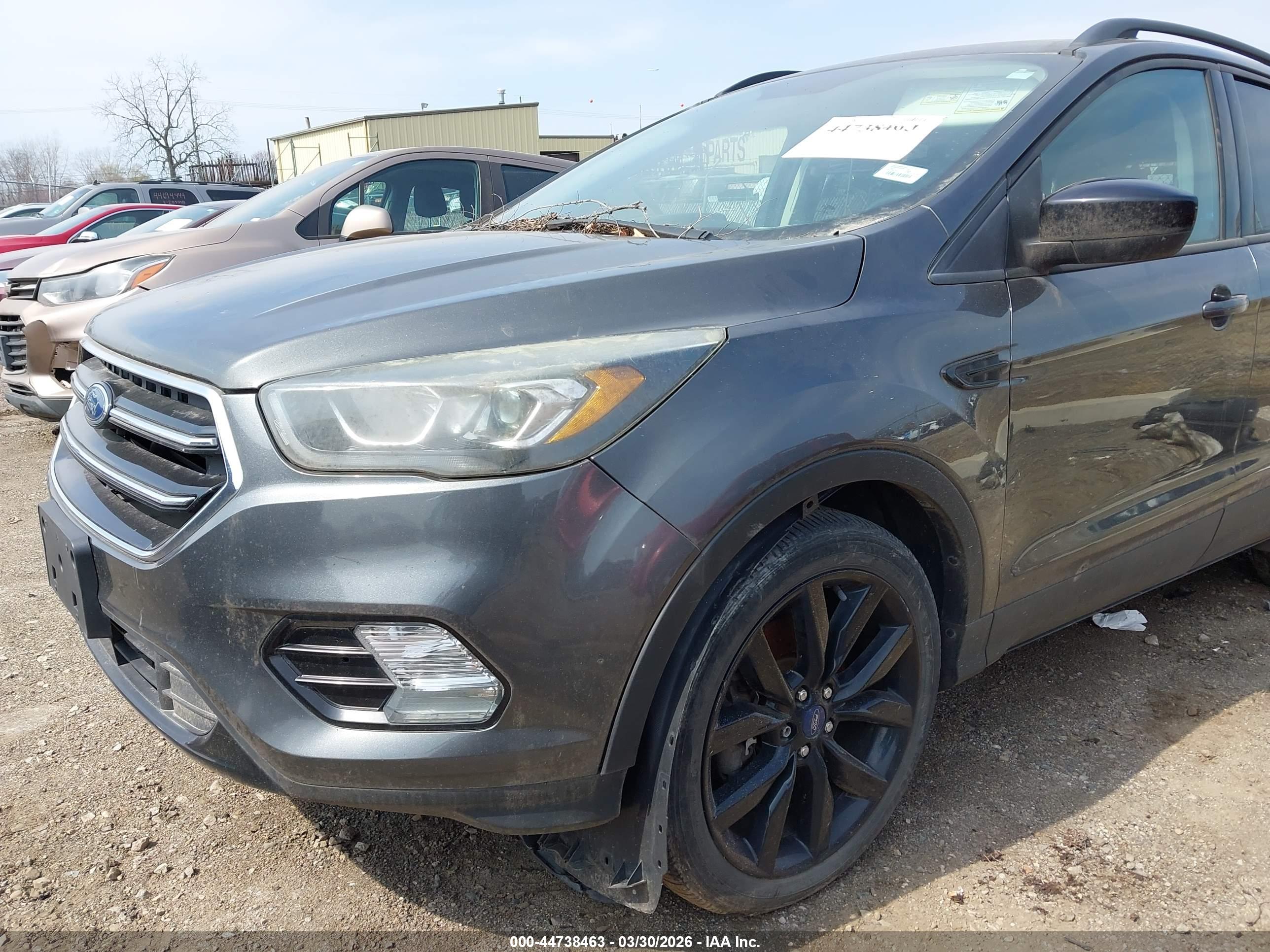 FORD ESCAPE image 6