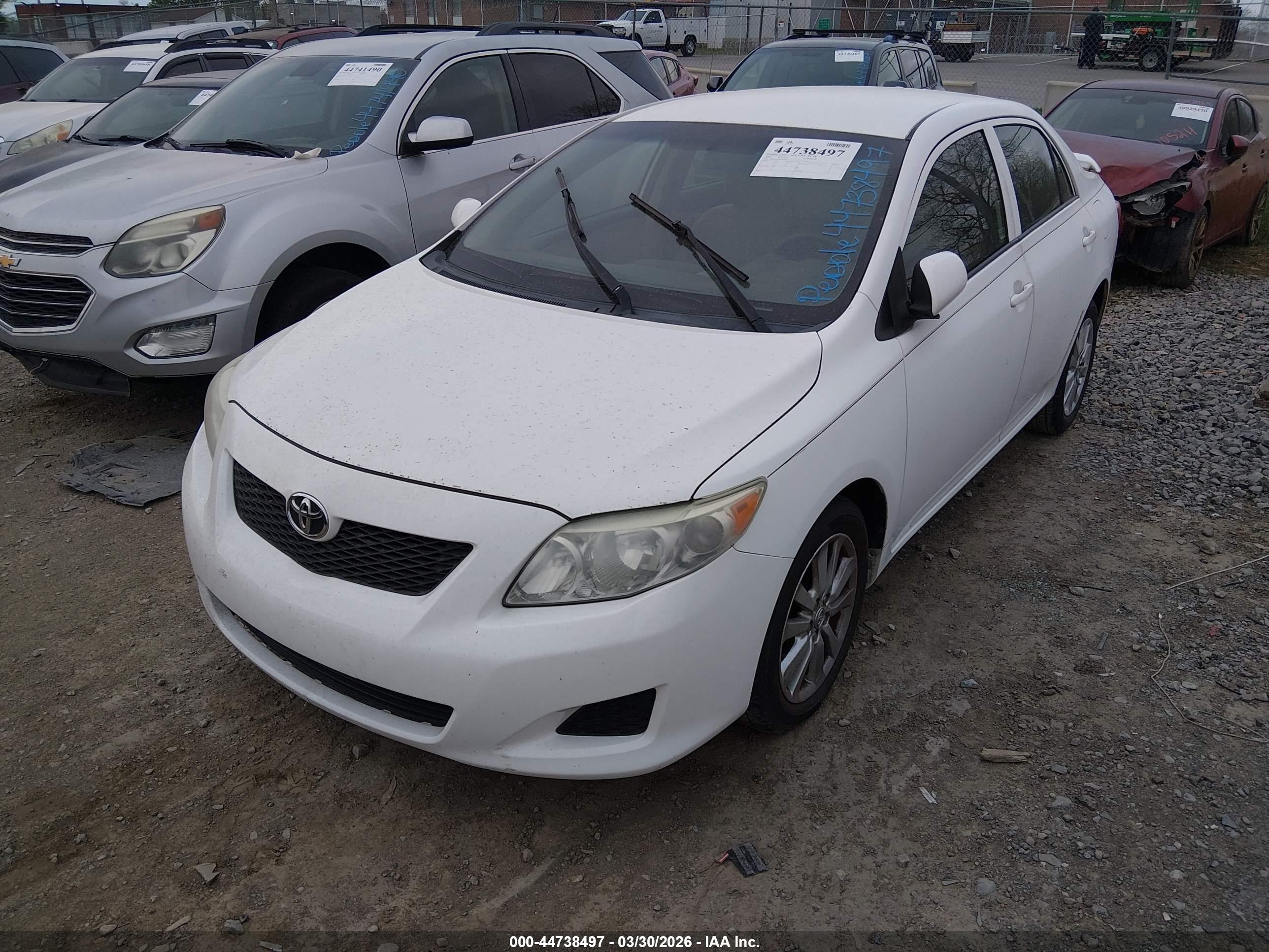 TOYOTA COROLLA image 2