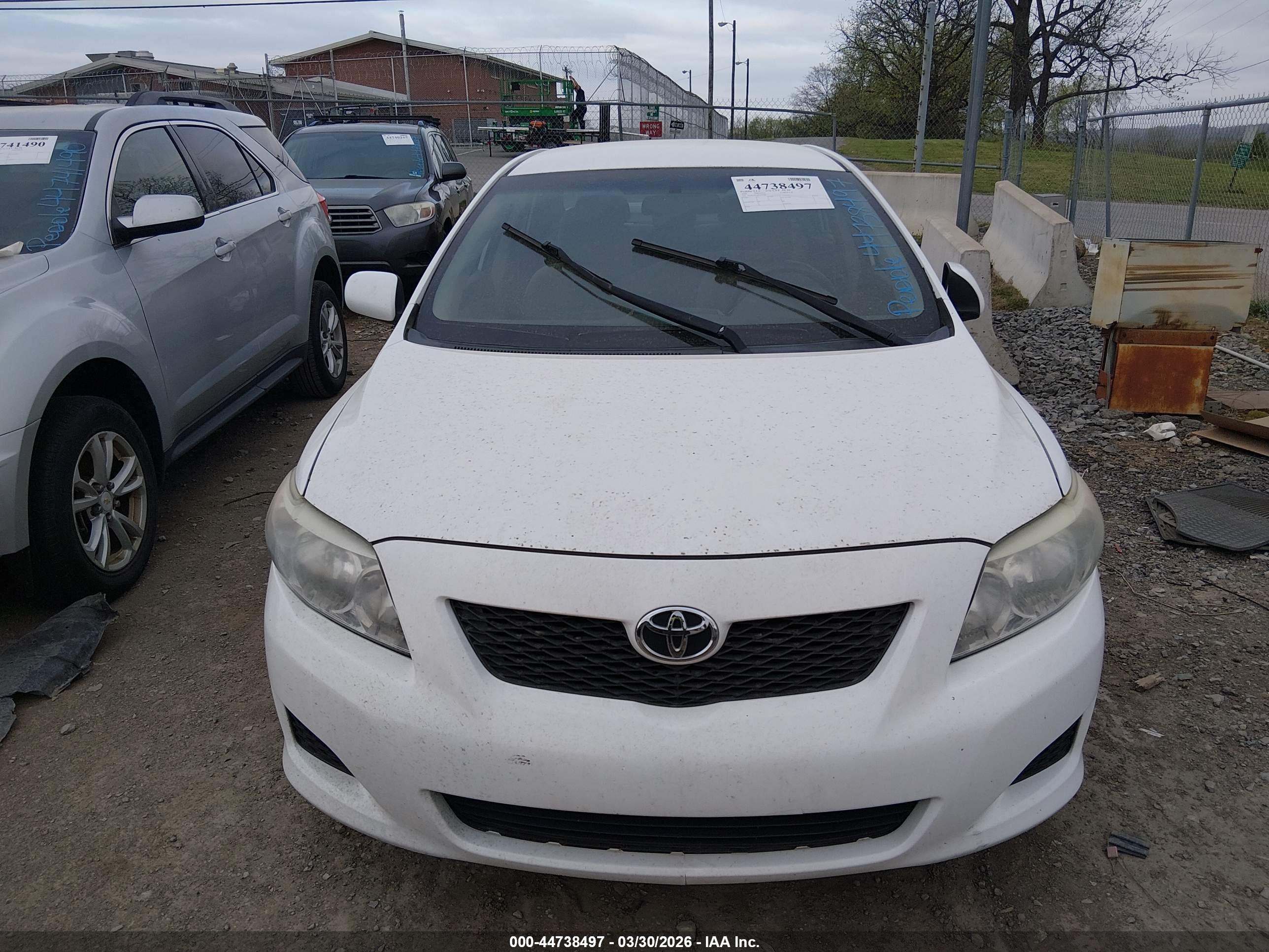 TOYOTA COROLLA image 6