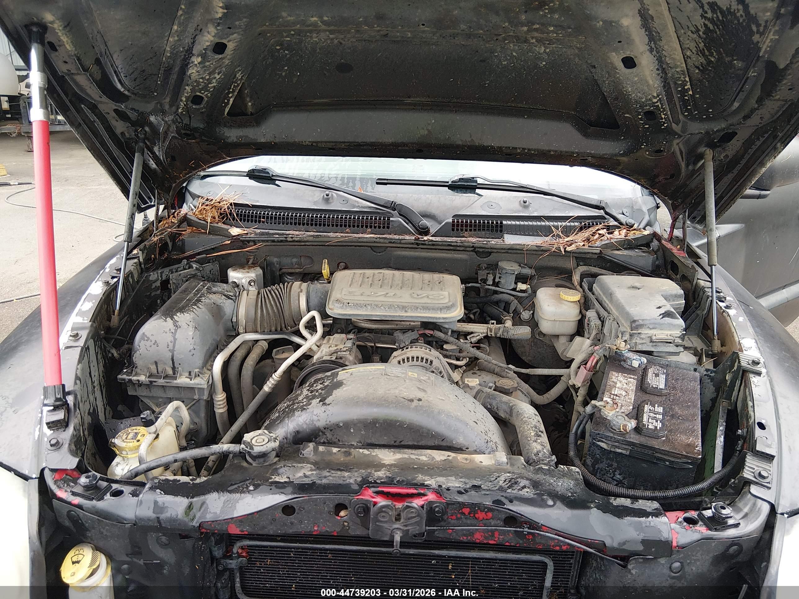 DODGE DAKOTA image 10