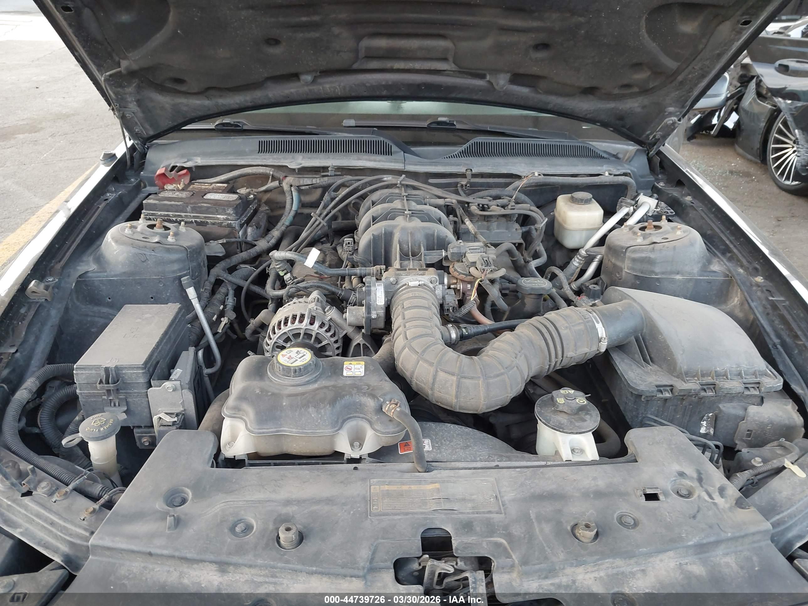 FORD MUSTANG image 10