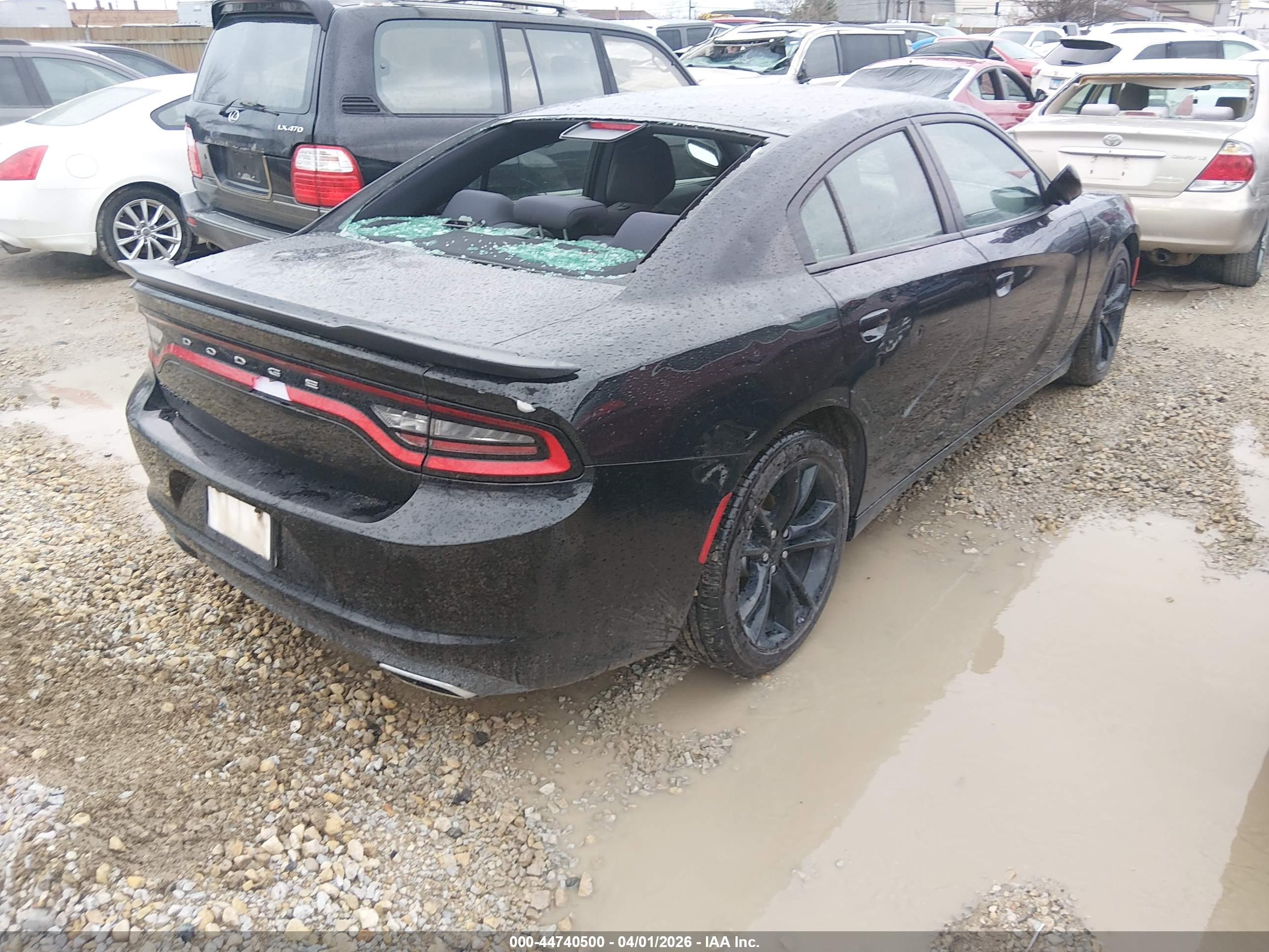 DODGE CHARGER image 4