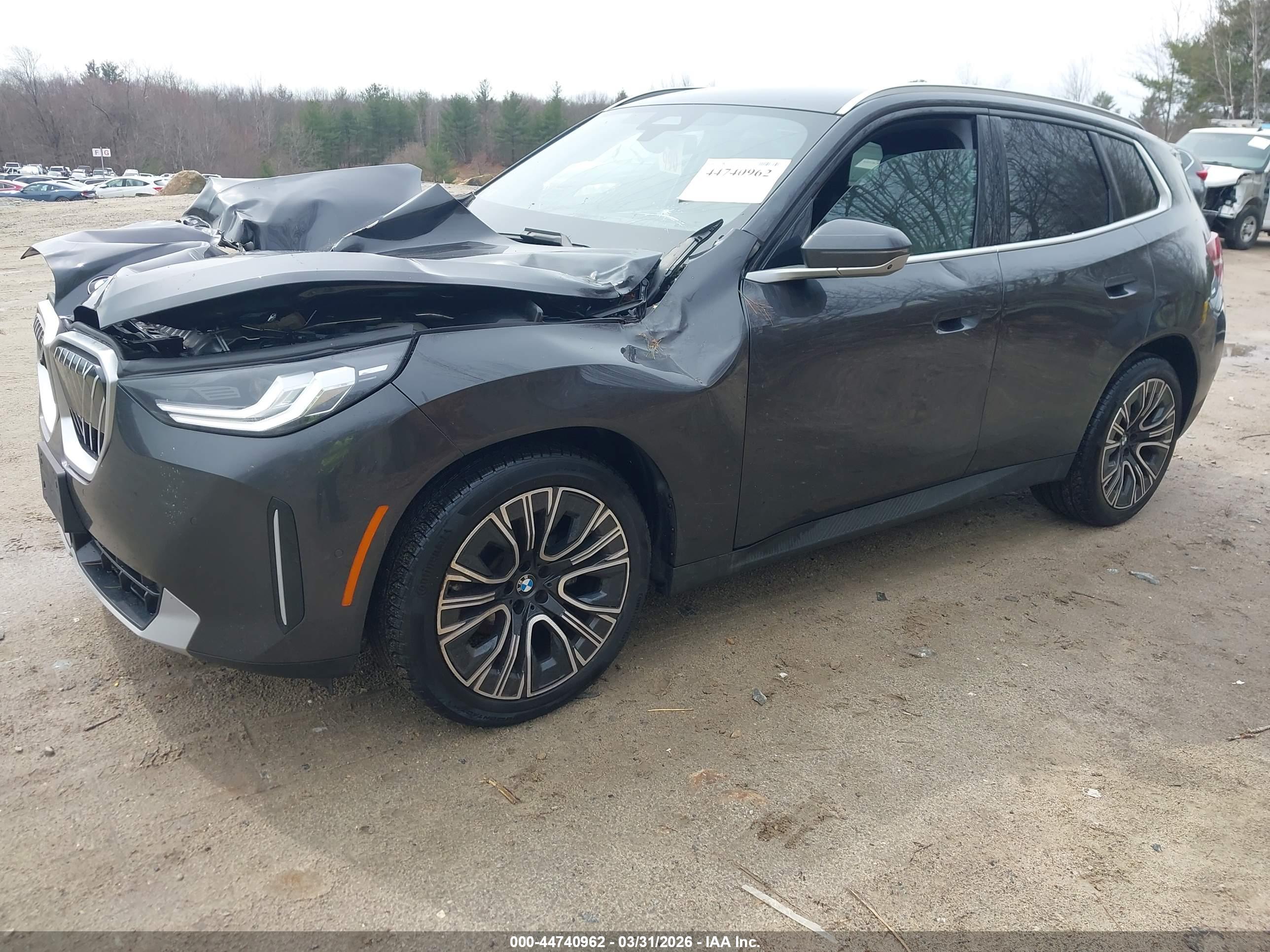 BMW X3 image 2