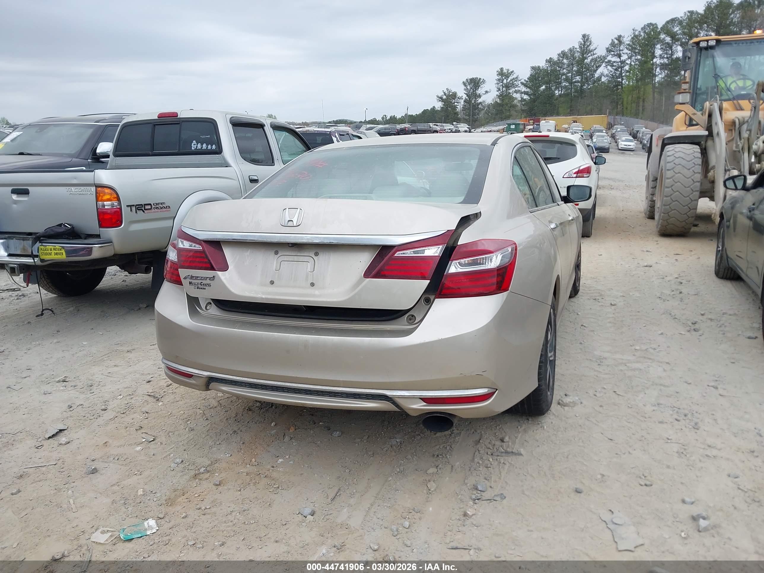 HONDA ACCORD image 4