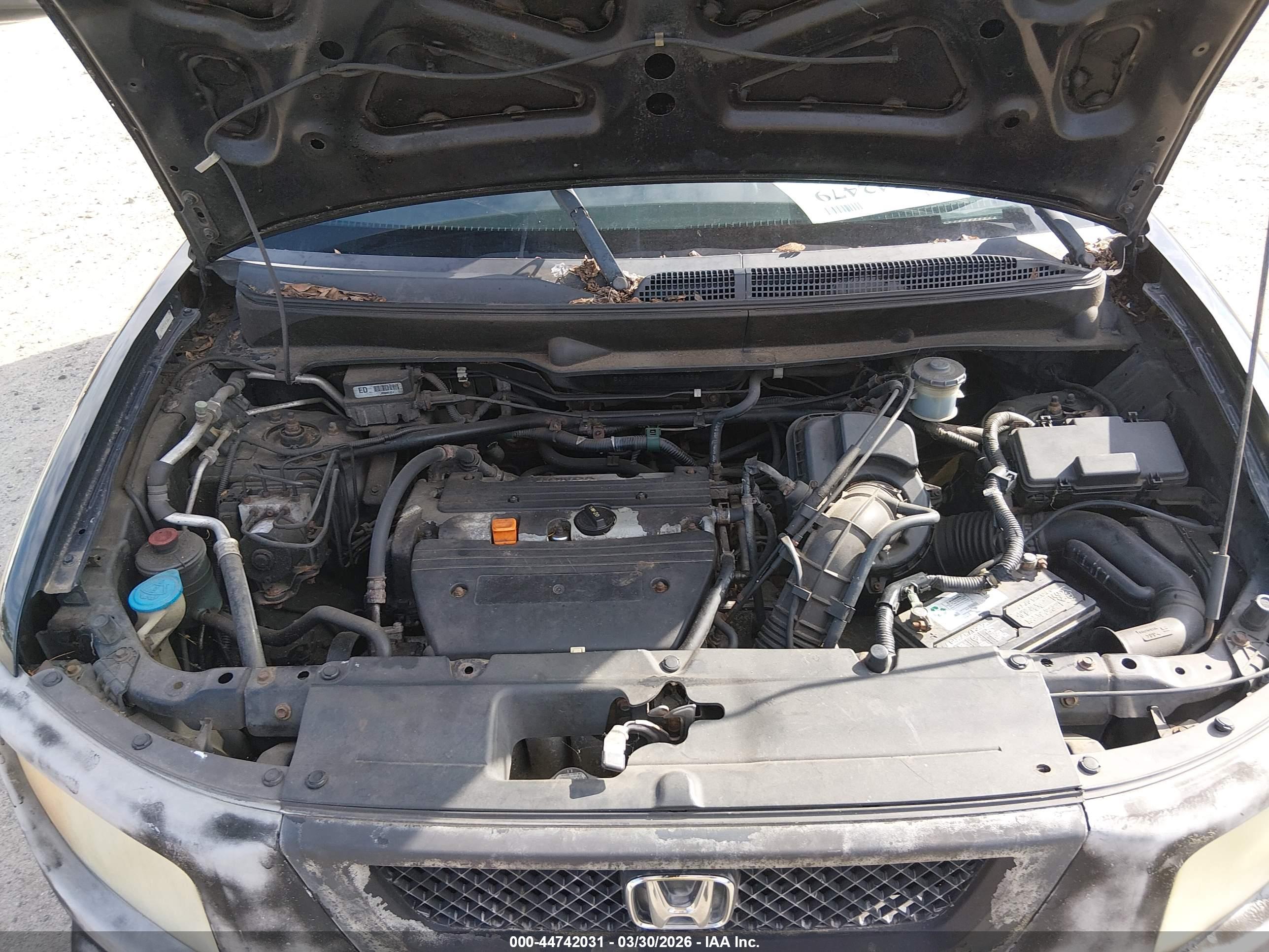 HONDA ELEMENT image 10