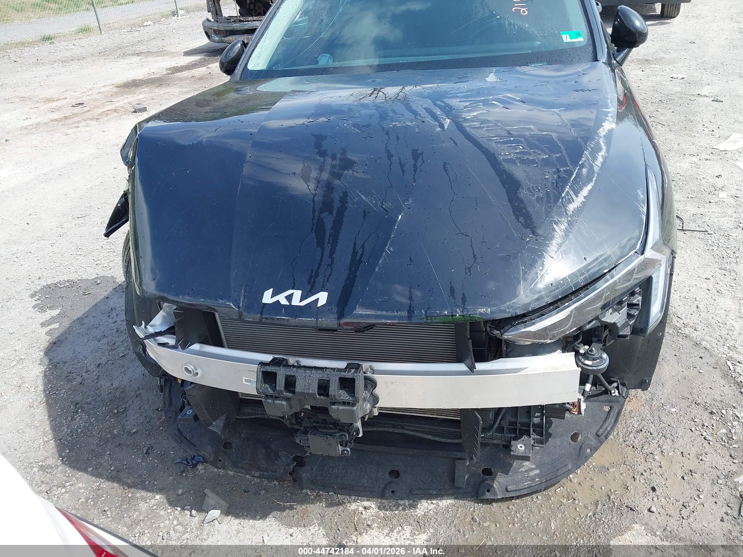 KIA K5 image 6