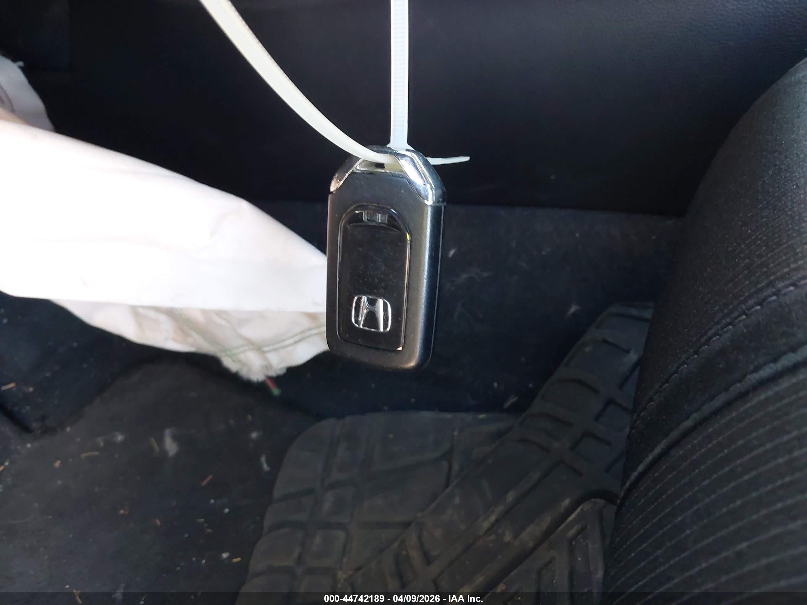 HONDA ACCORD image 11