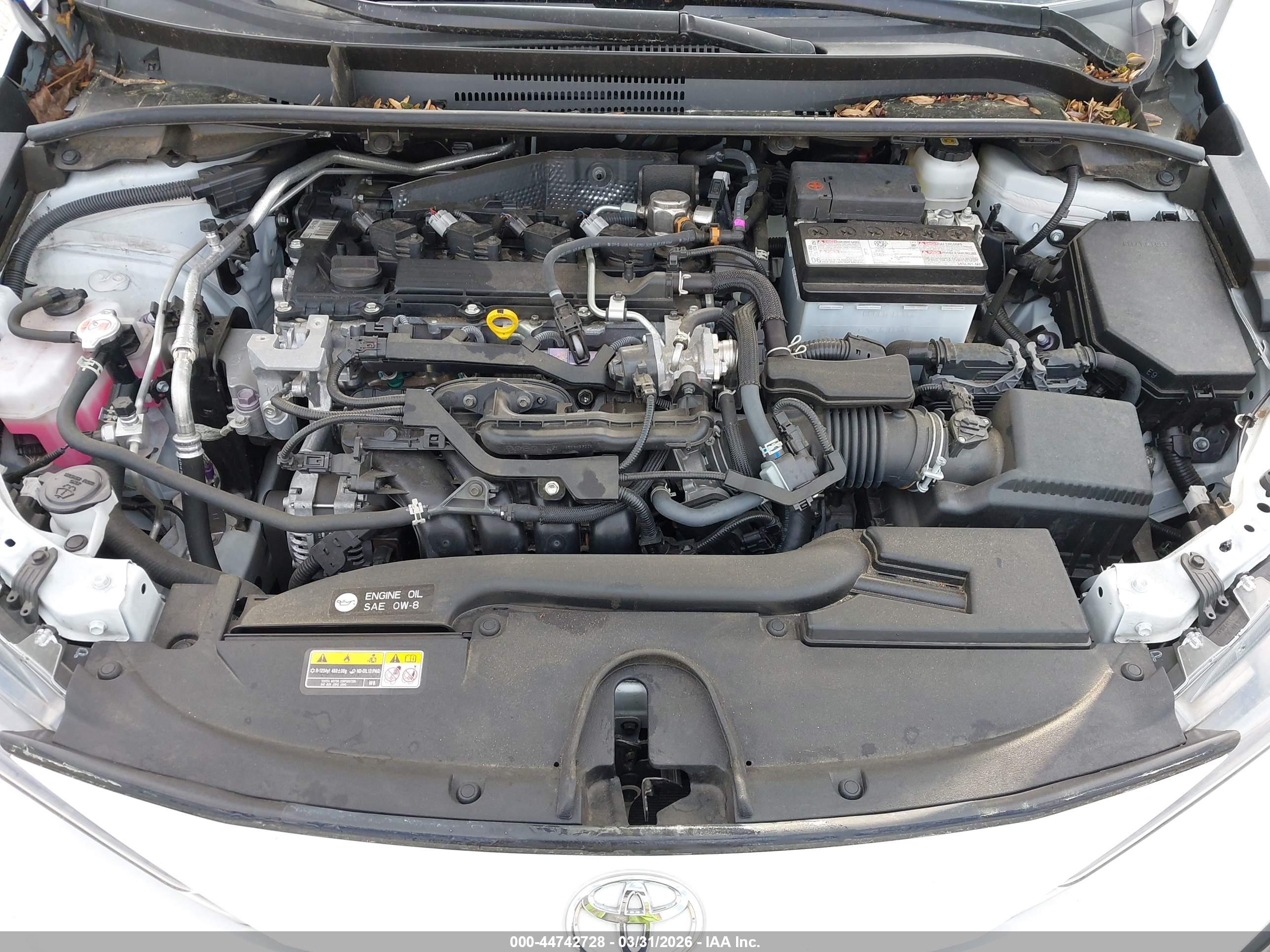 TOYOTA COROLLA image 10