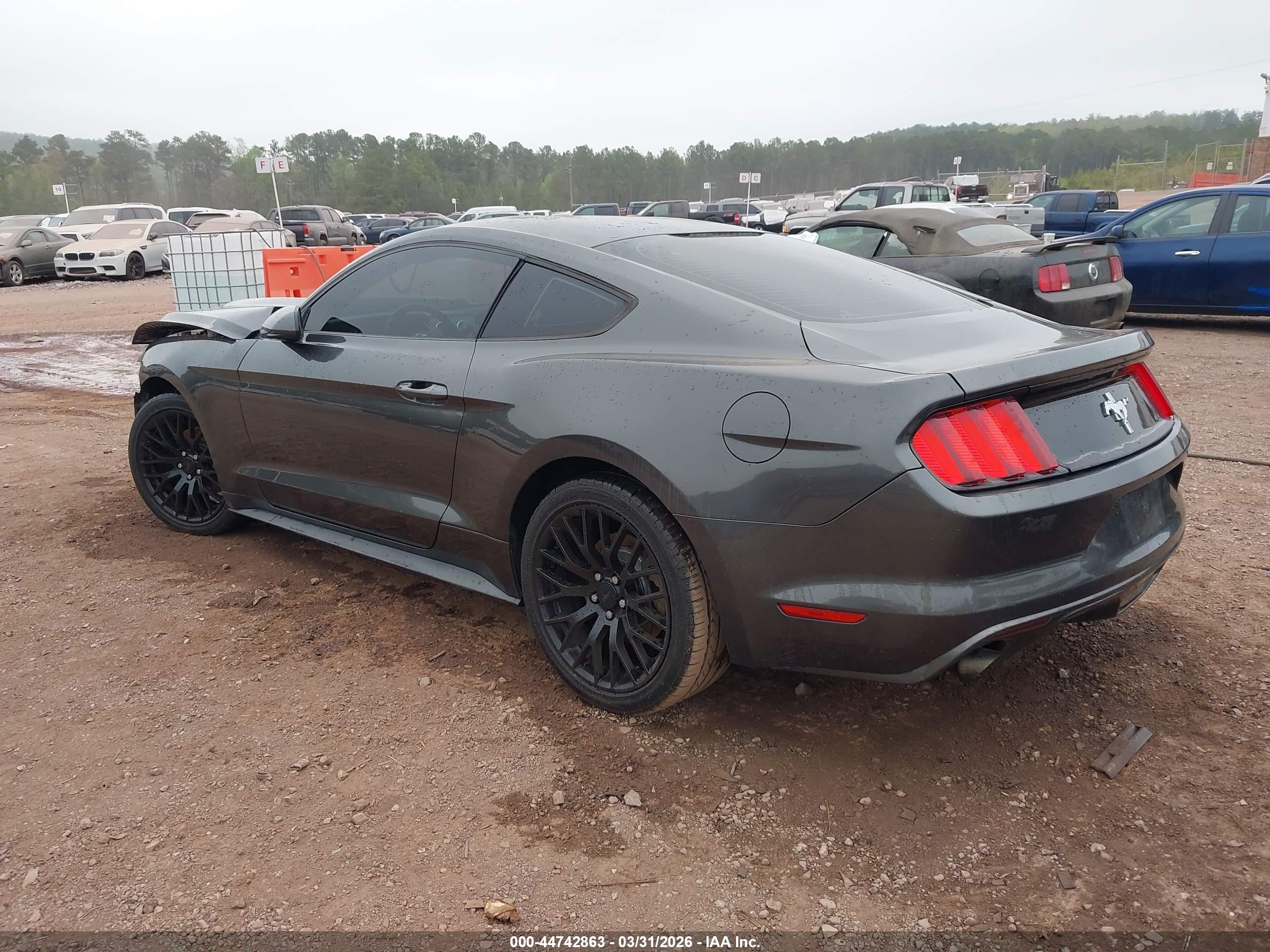 FORD MUSTANG image 3