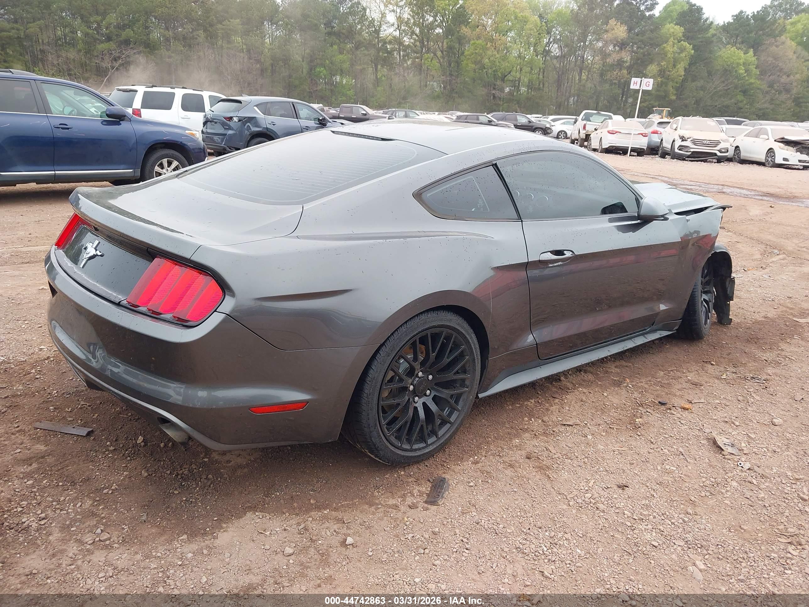 FORD MUSTANG image 4