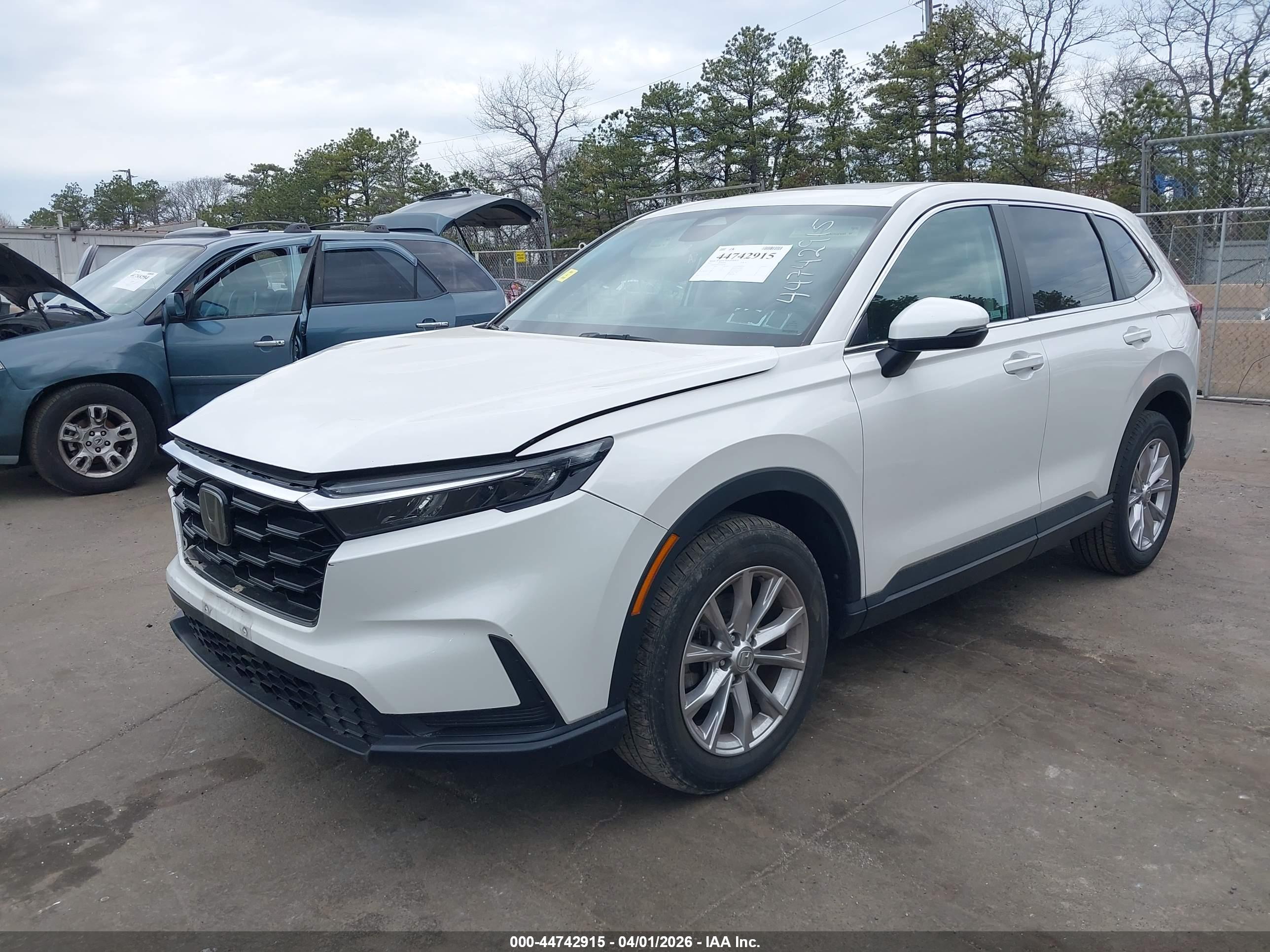HONDA CR-V image 2