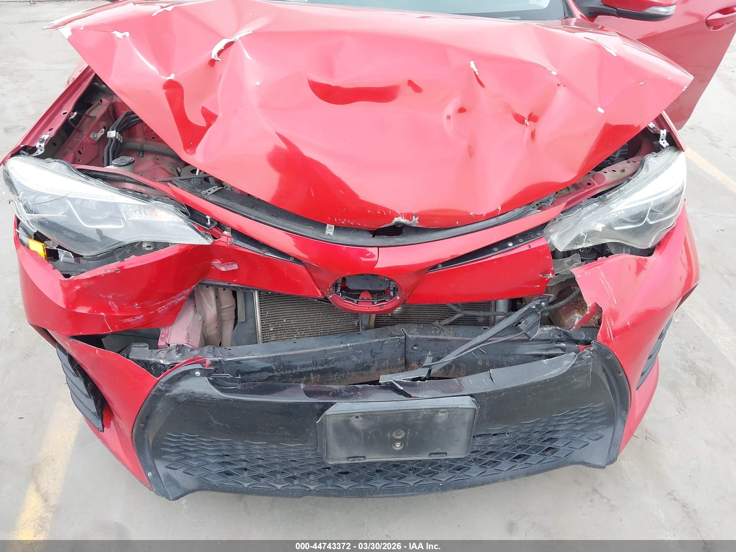 TOYOTA COROLLA image 6