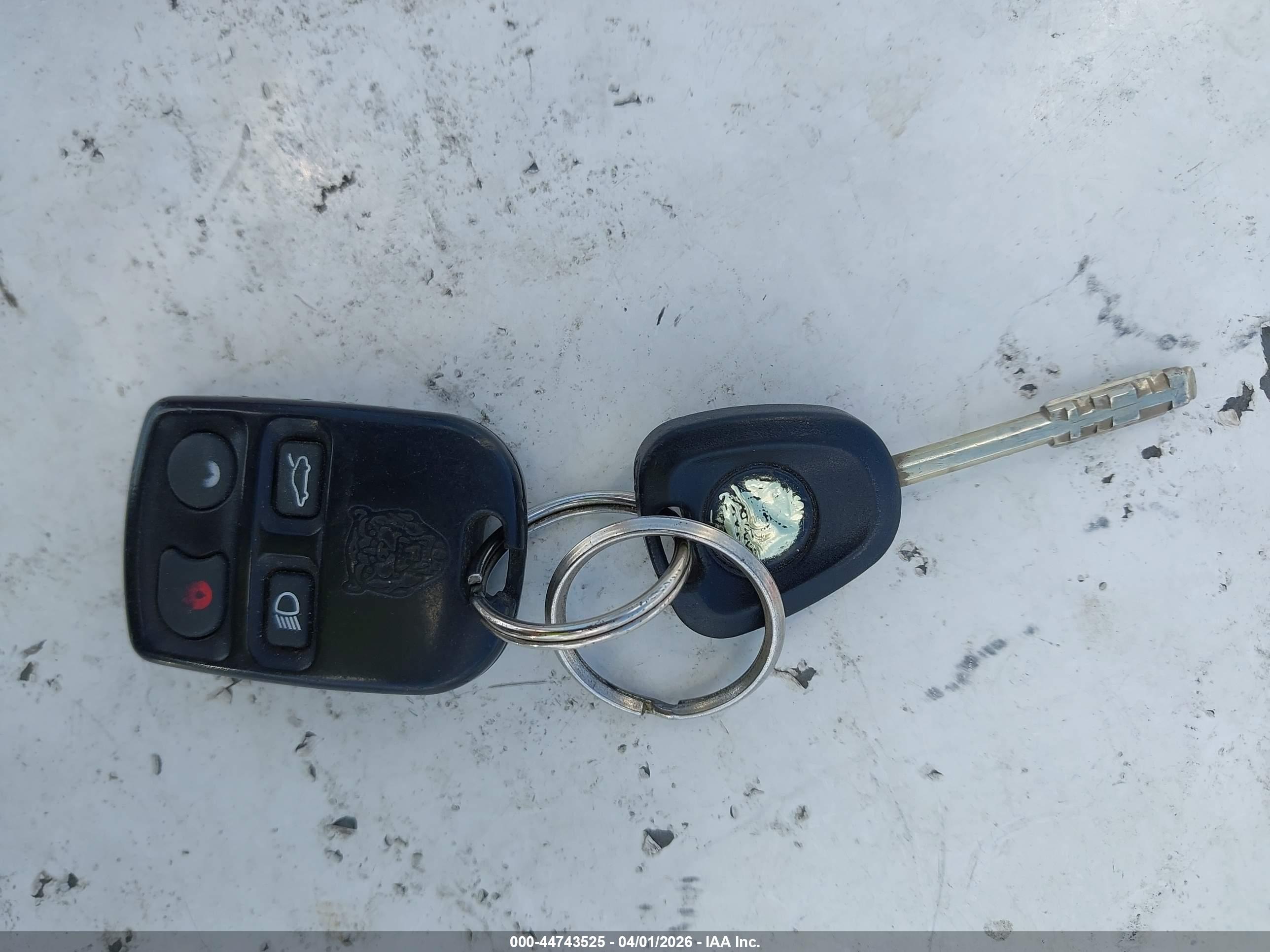 JAGUAR XK8 image 11