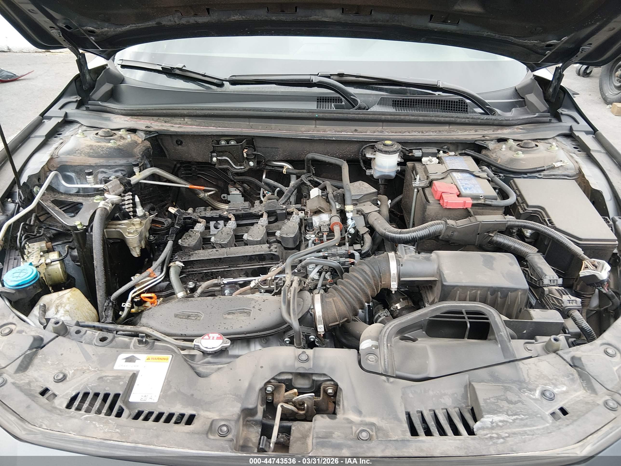HONDA ACCORD image 10