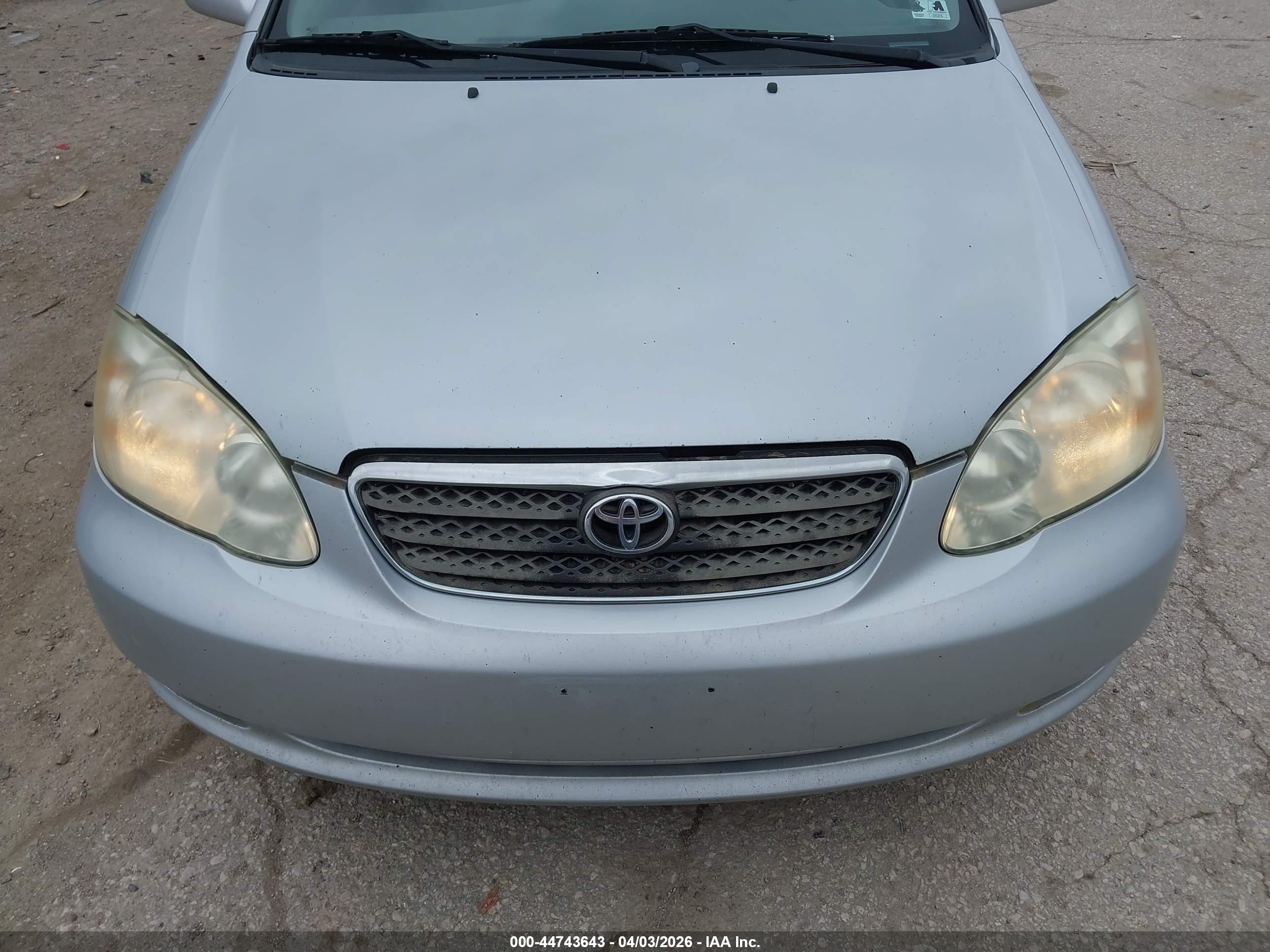 TOYOTA COROLLA image 6