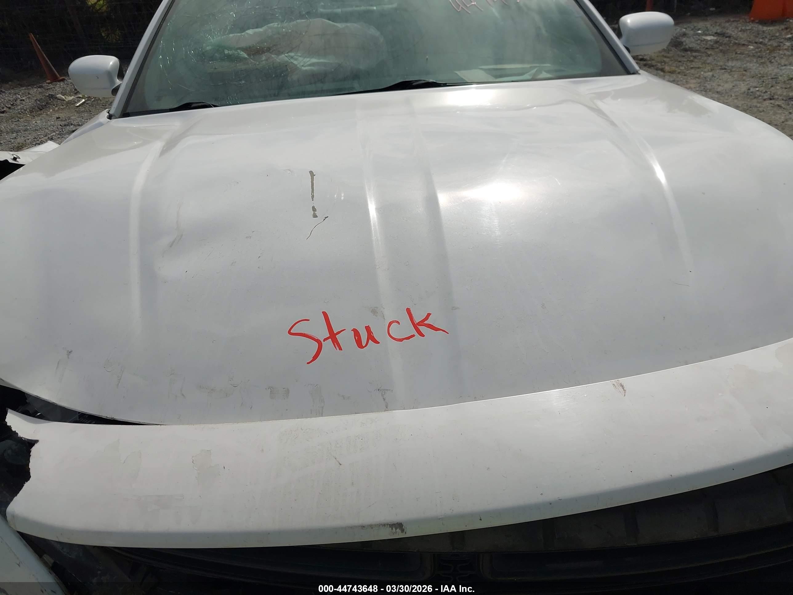 DODGE CHARGER image 10