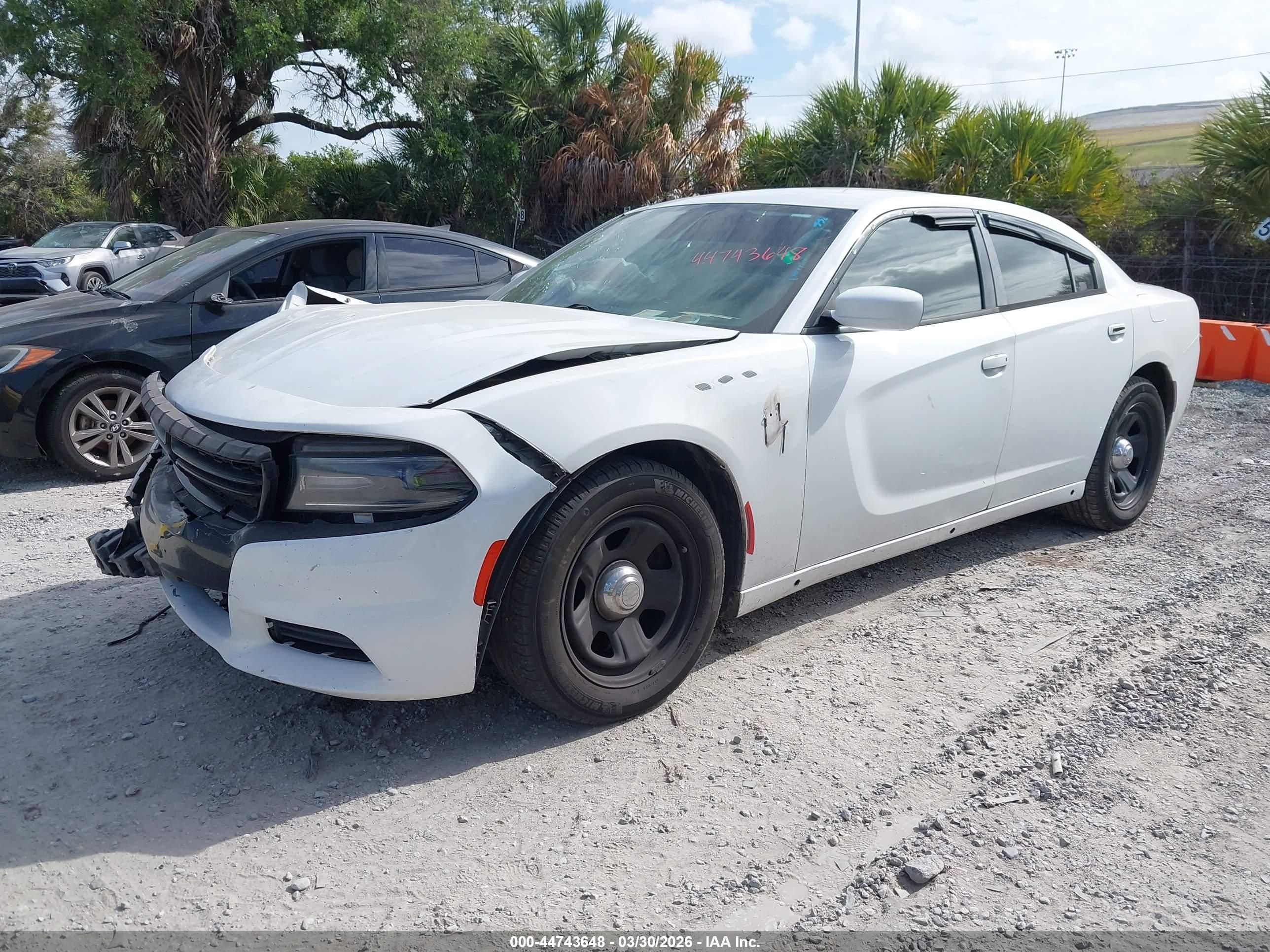 DODGE CHARGER image 2